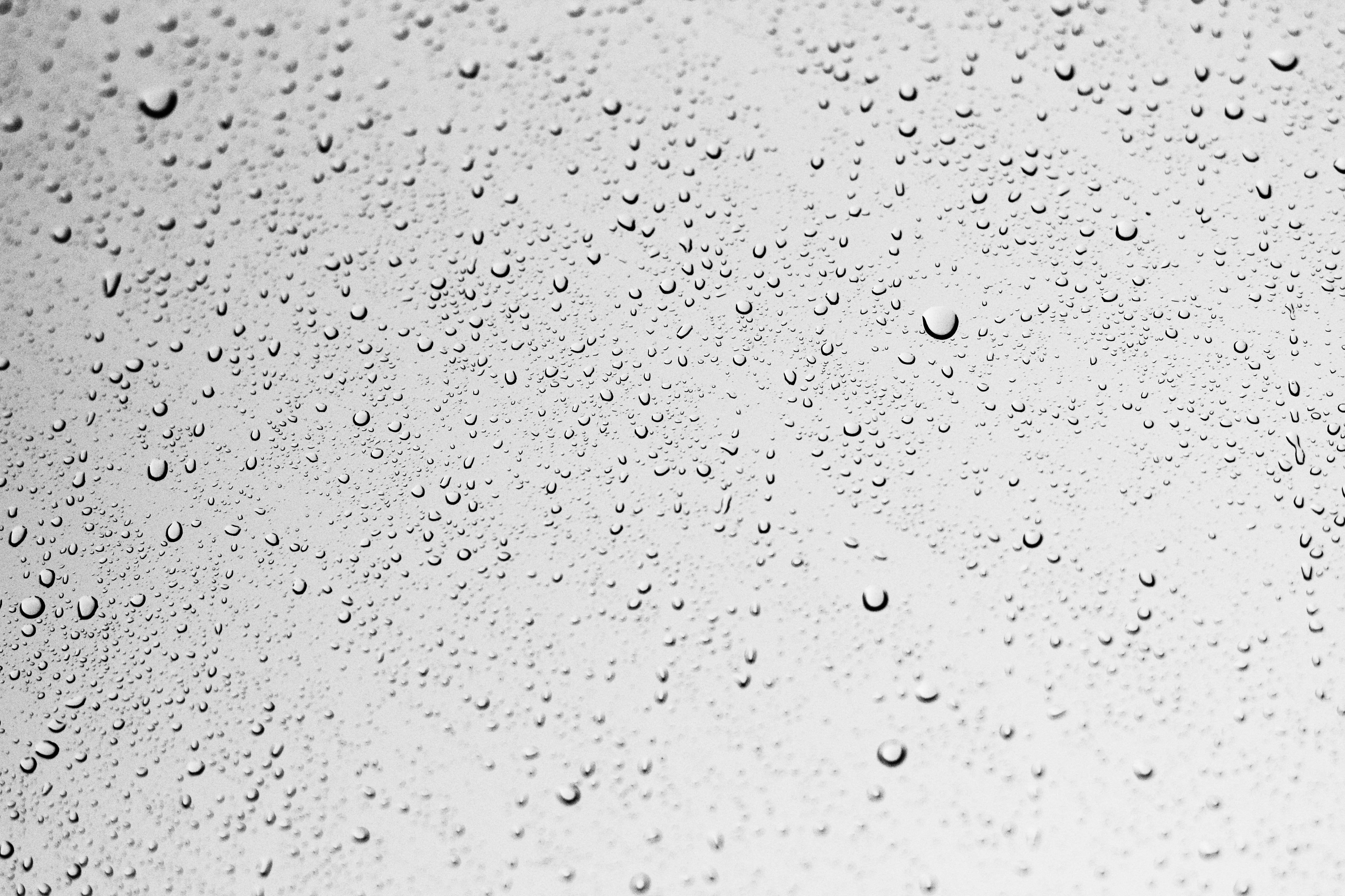 backgrounds, drops, drop, transparent, full frame, no people, liquid, nature, condensation, rainy season, droplets, indoors, water, glass, 5K, weather, HD Wallpaper