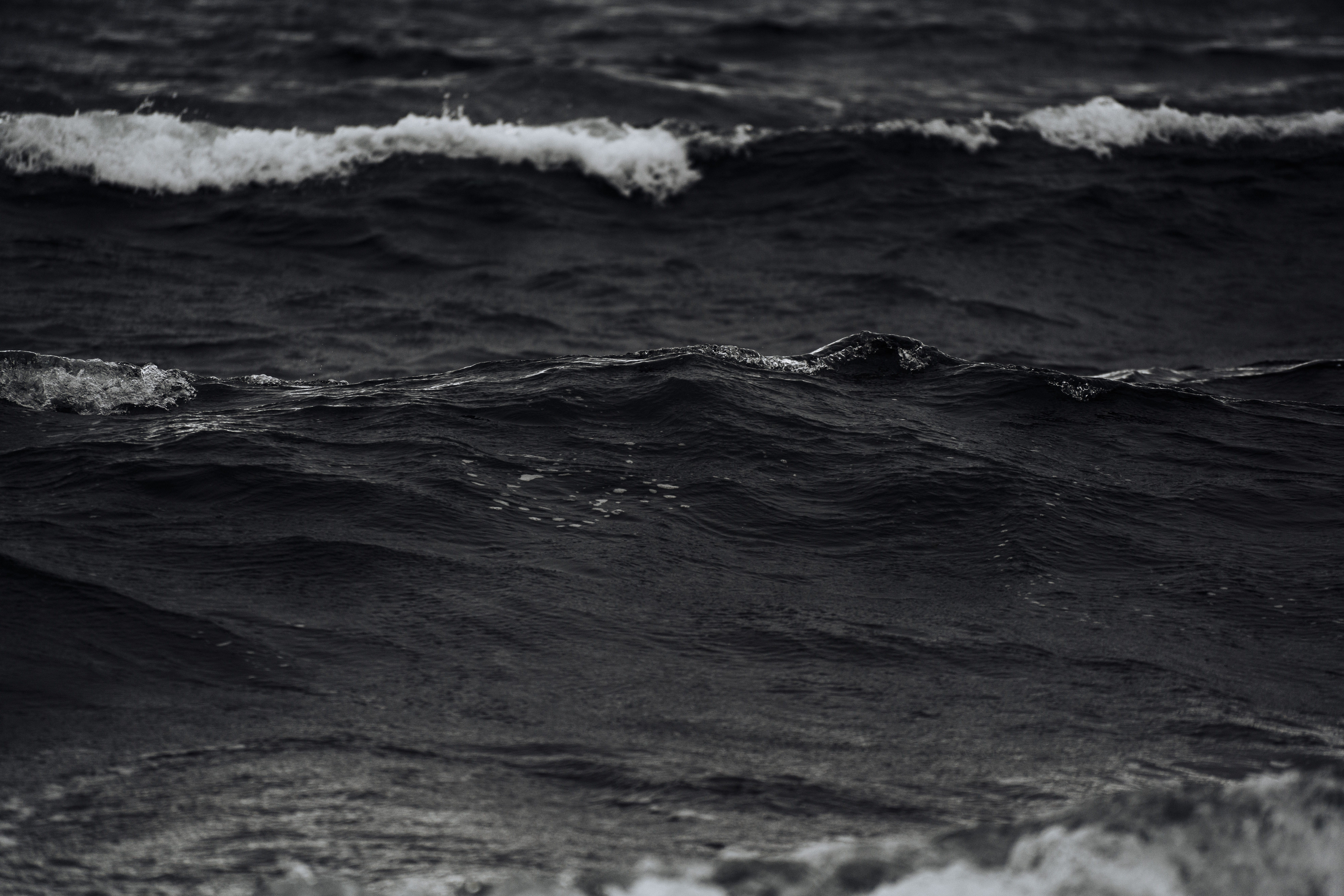 #sea, black and white, water, rippled, grayscale, waterfront, outdoors, backgrounds, beach, ocean, tide, 8K, waves, body of water, desktop, HD Wallpaper