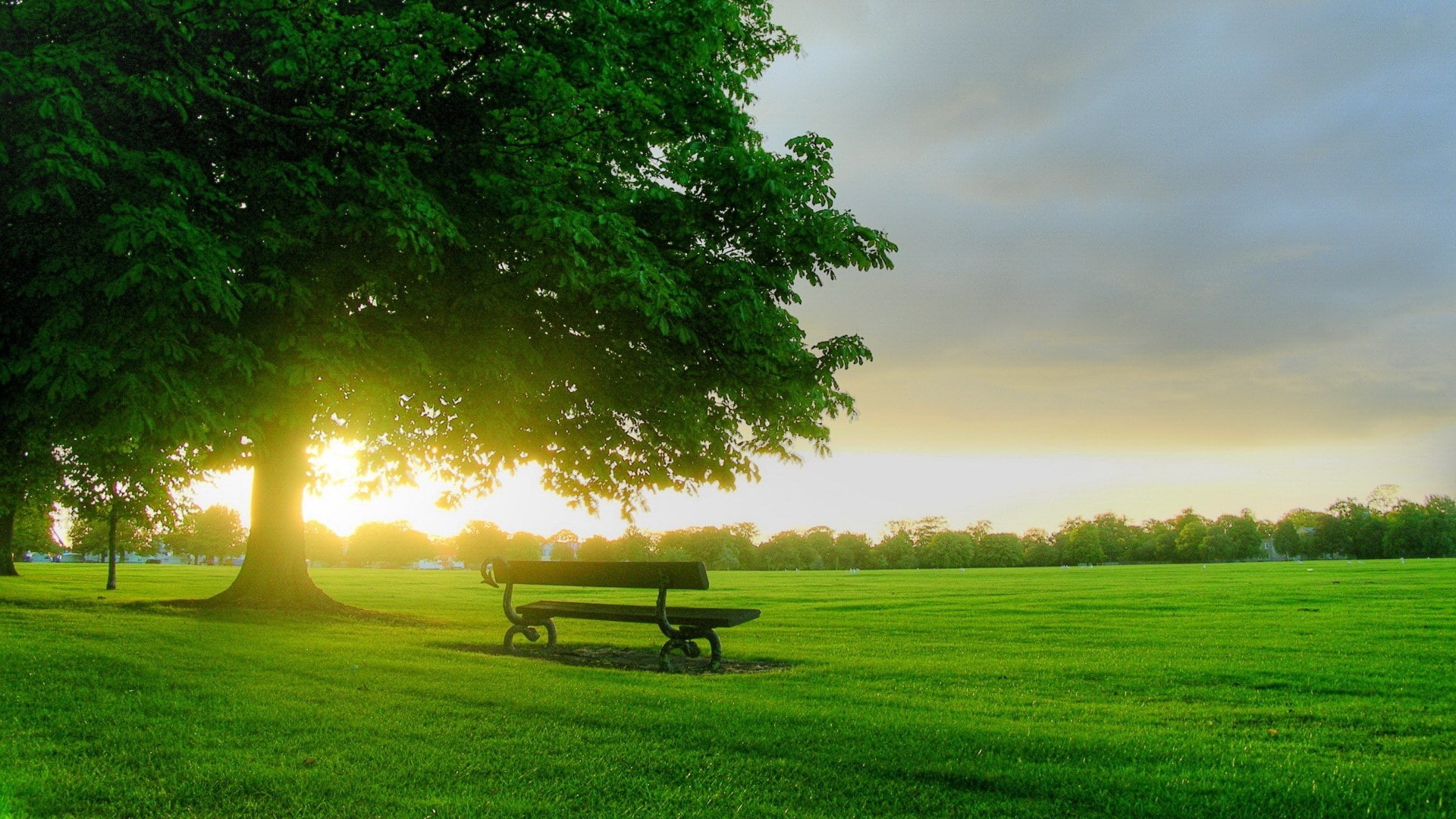 1080P, widescreen high resolution nature hd 1920x1080, HD Wallpaper