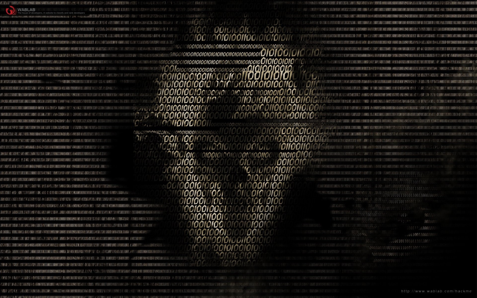 skull, Technology, 1080P, Hacker, black, binary, gray, HD Wallpaper