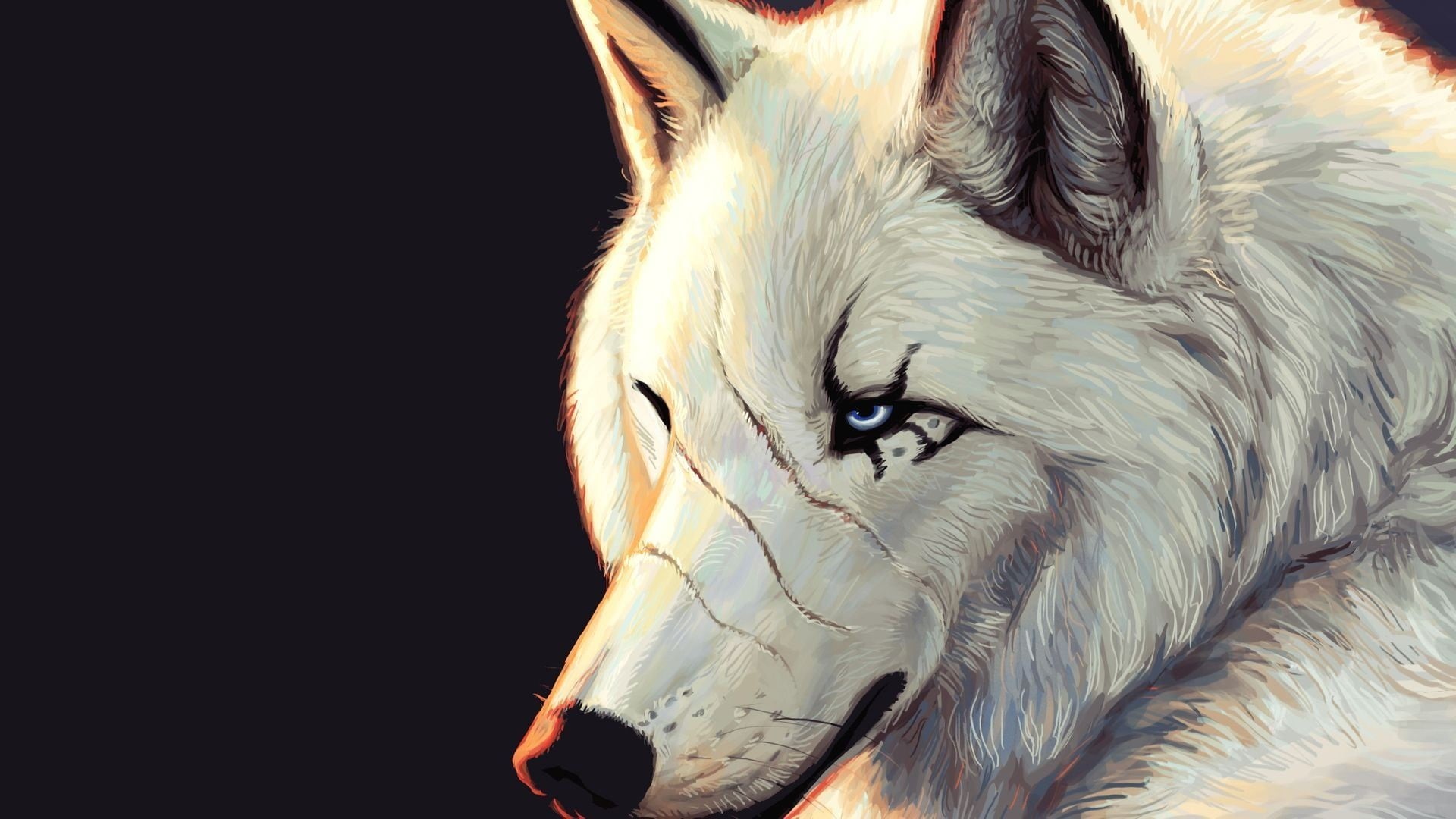 mammal, animal themes, no people, one animal, portrait, animals, vertebrate, looking away, fantasy art, domestic, animal wildlife, close-up, whisker, scars, HD Wallpaper