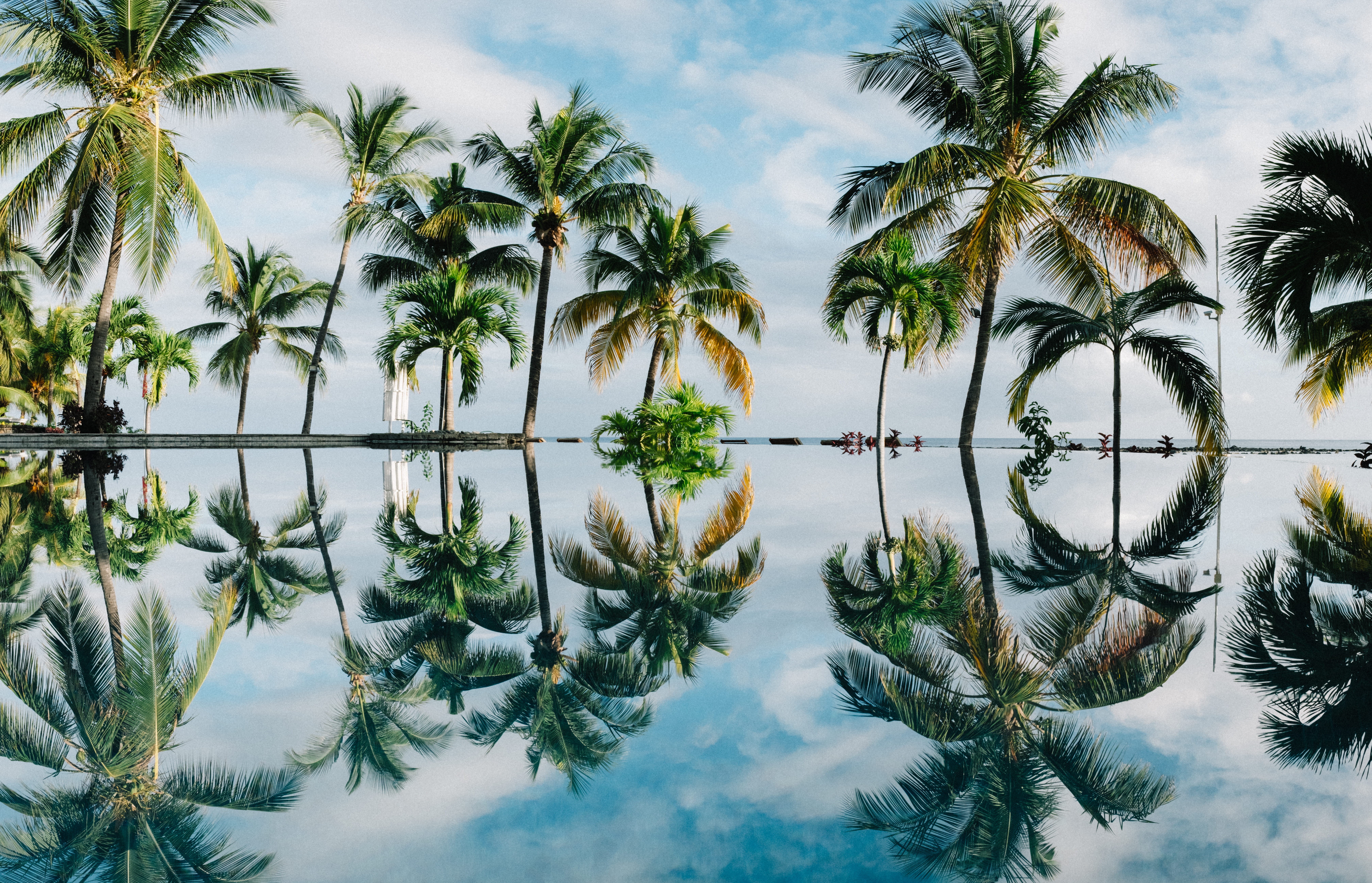 body, luxury, waterfront, near, coconut, reflection, sea, reflecting pool, outdoors, palm, plant, ocean, paradise, symmetry, cloud - sky, tranquility, nature, HD Wallpaper