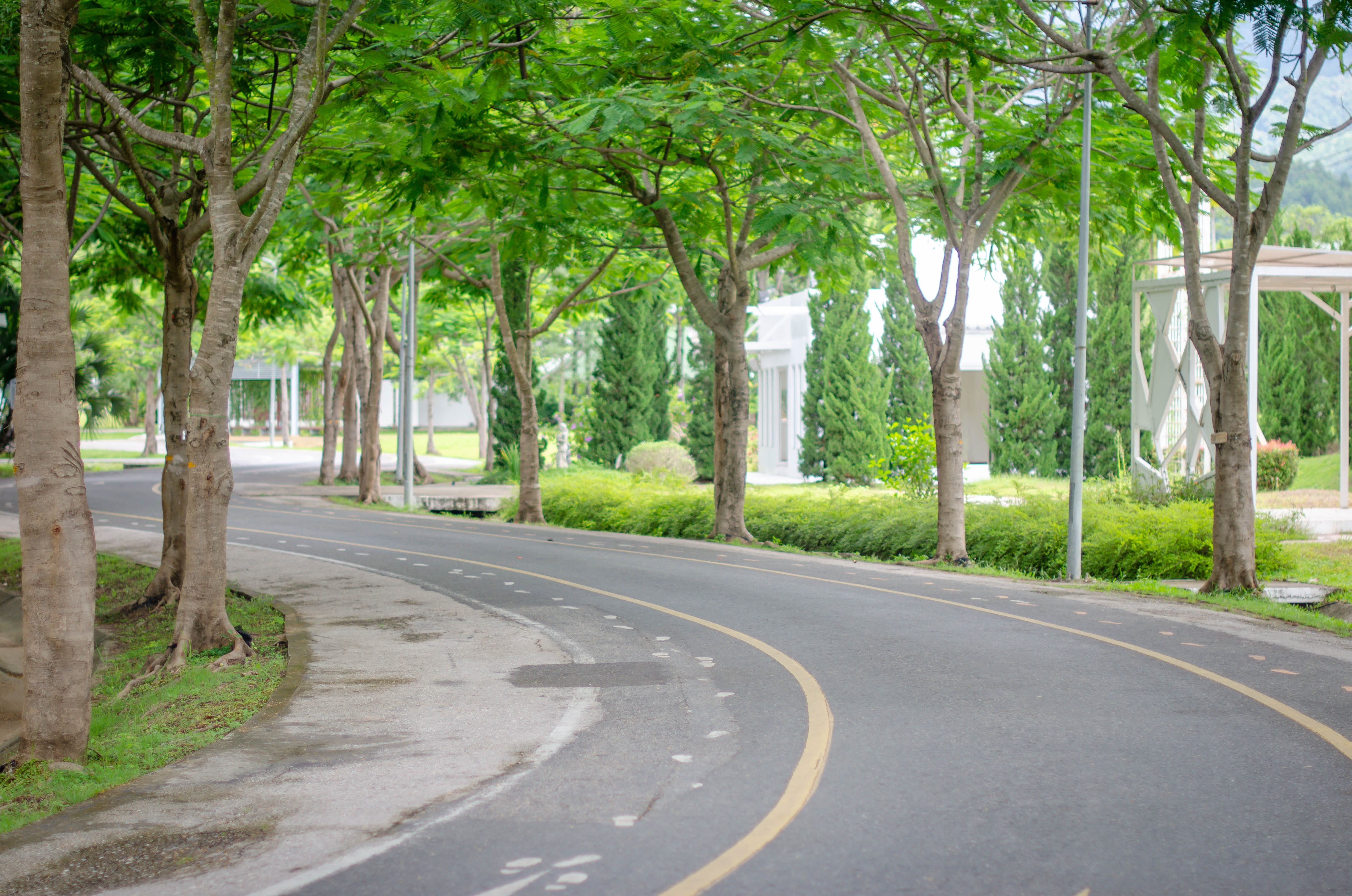 travel, side, concept, avenue, tree, day, traffic, highway, drive, summer, blue, no people, modern, road marking, nobody, board, scenery, metal, symbol, HD Wallpaper