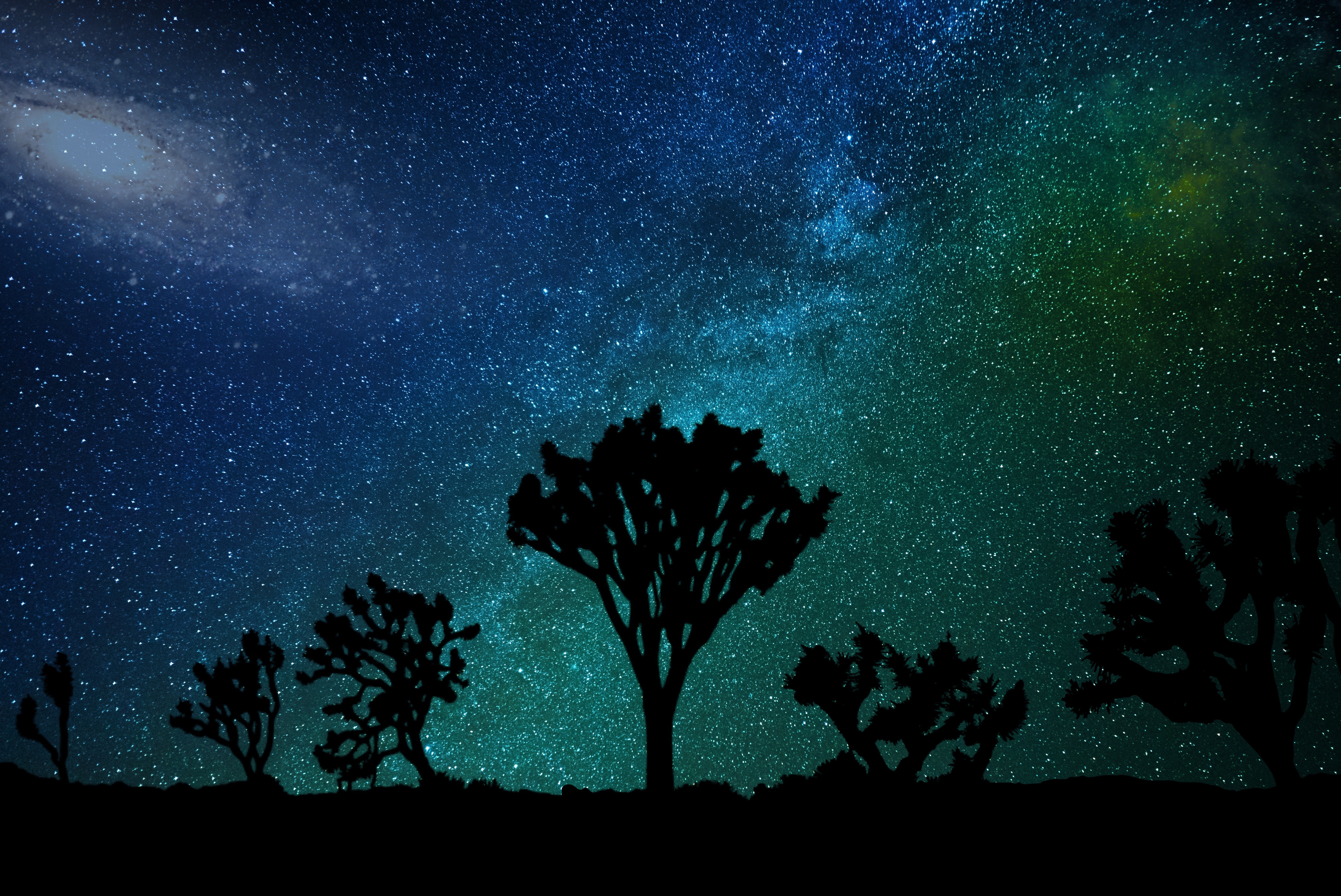 growth, starry sky, backgrounds, nebula, tranquil scene, outdoors, forest, illustration, star, landscape, low angle view, moonlight, 5K, scenics - nature, HD Wallpaper