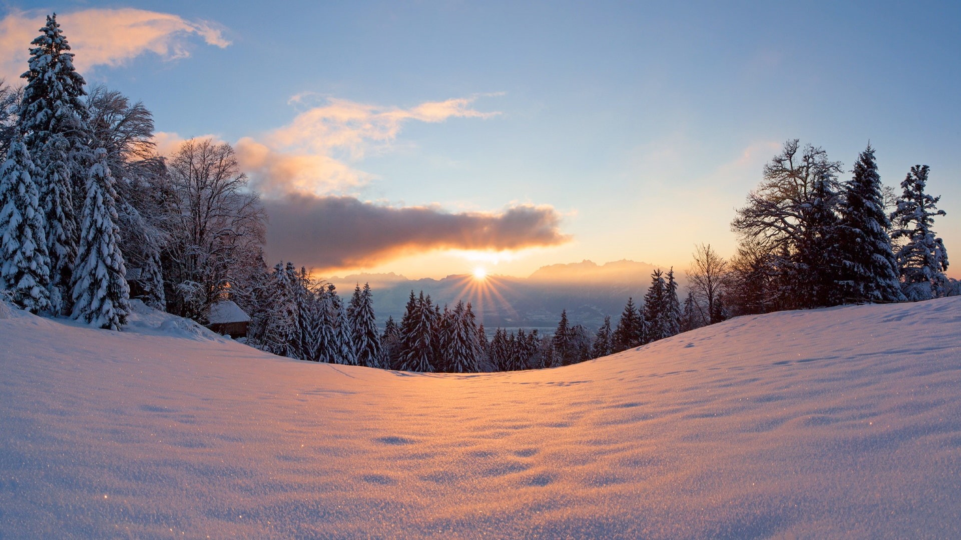 Sunset, Trees, Snow, Sun, Light, 1080P, Forest, Winter, HD Wallpaper