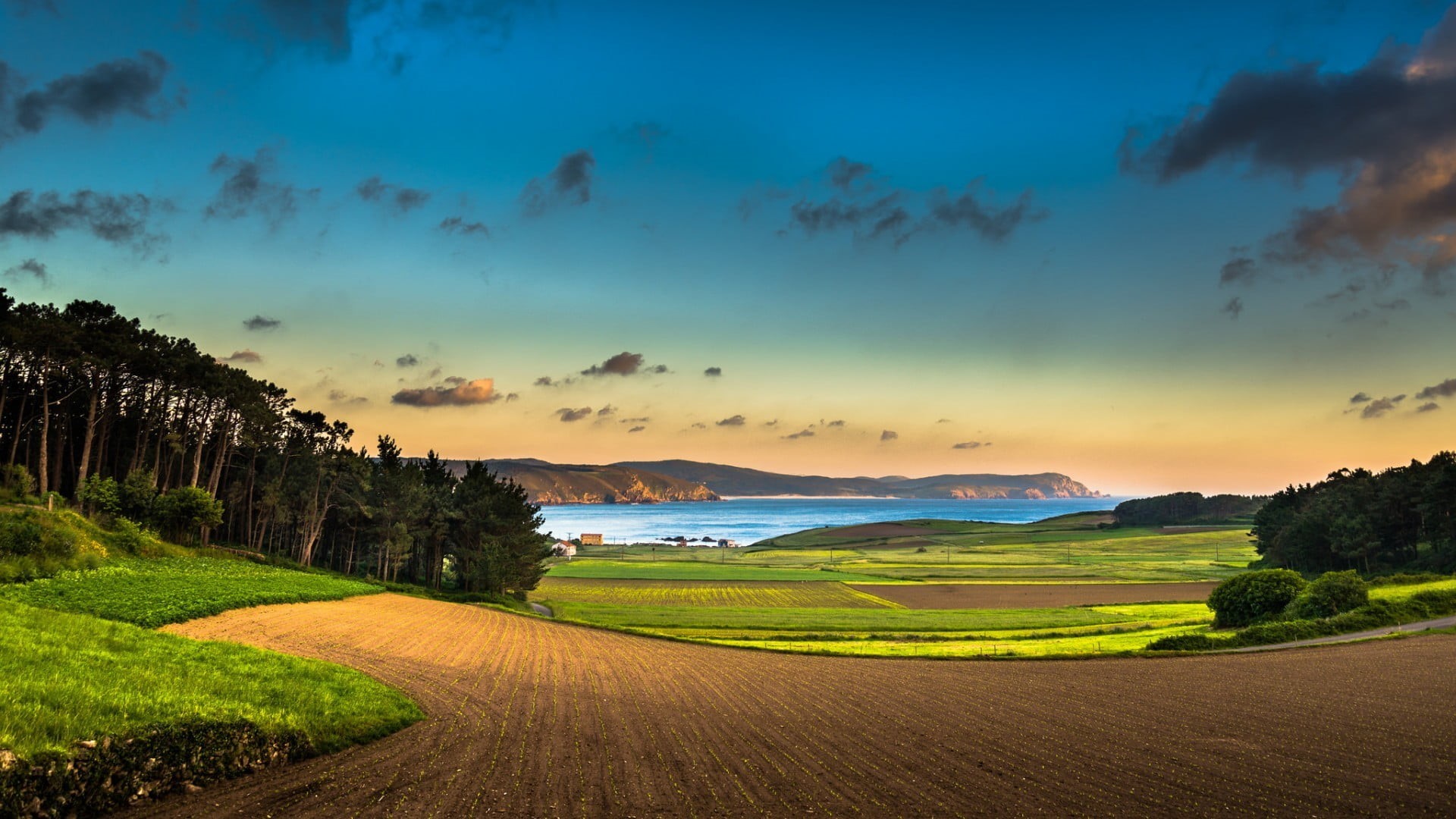 sea, sunset, tree, no people, non-urban scene, land, tranquility, grass, rock, nature, leaf, field, plant, beauty in nature, idyllic, green, sky, 1080P, HD Wallpaper