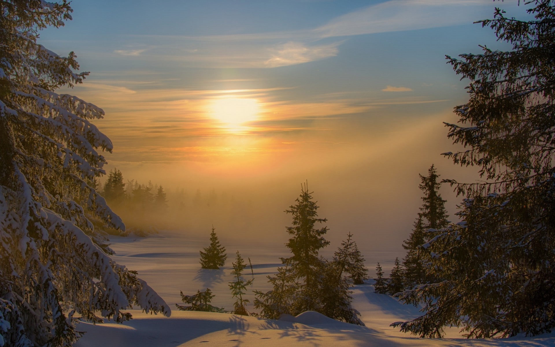 cold, 1920x1200, 1080P, winter, nature, sunset, snow, forest, landscape, mist, trees, HD Wallpaper