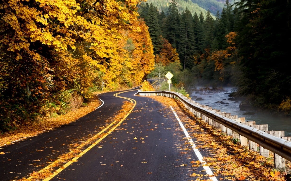 marking, fall, autumn, beauty in nature, mountains, nature, the way forward, outdoors, double yellow line, no people, yellow, road, river, foliage, tree, HD Wallpaper