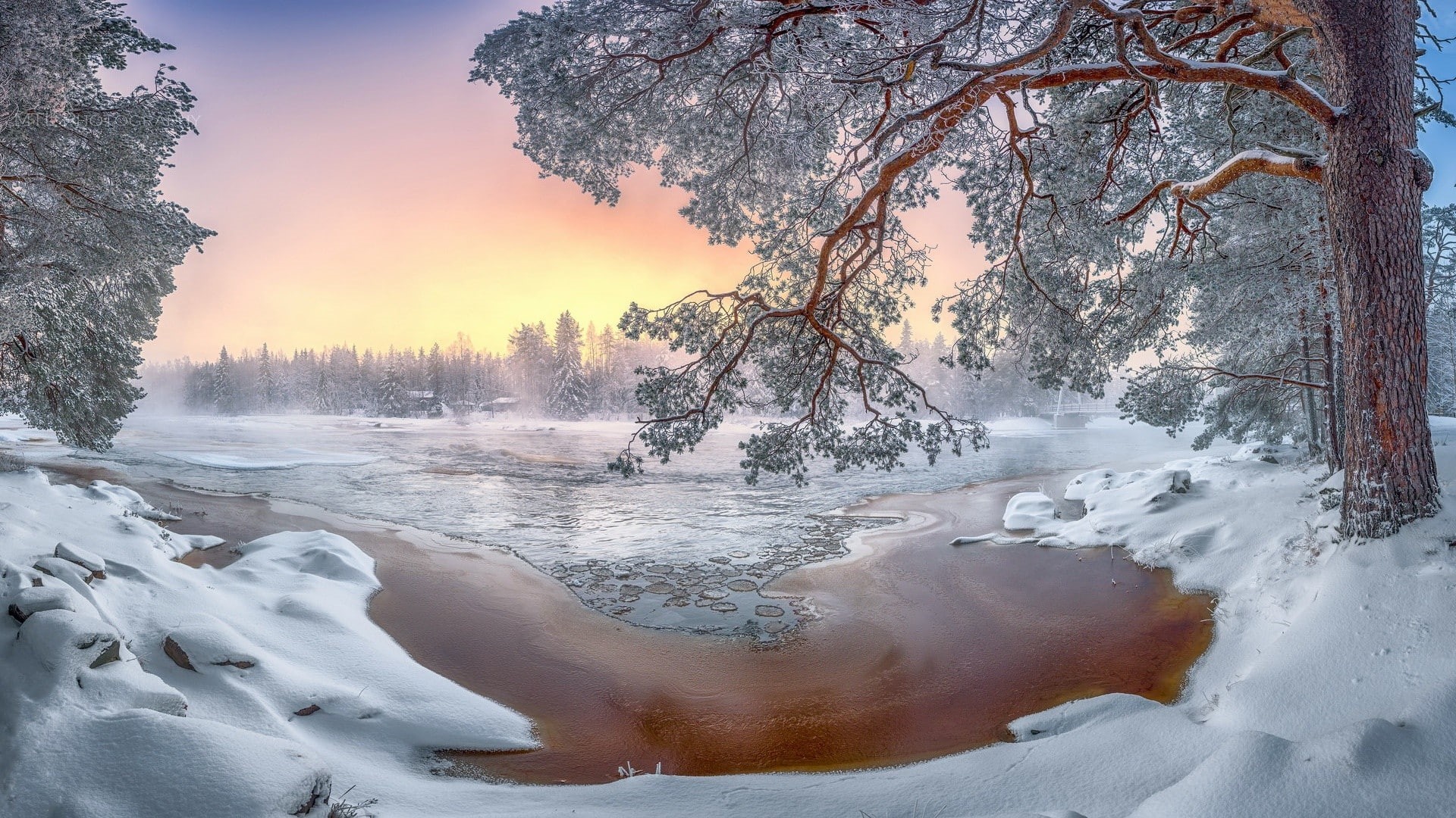 snow, trees, nature, 1080P, cold, winter, landscape, HD Wallpaper