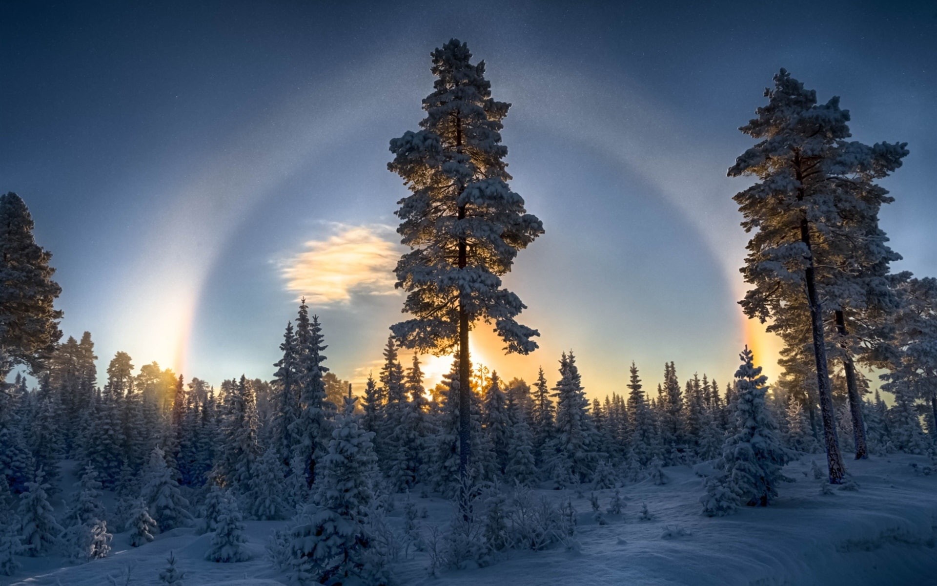 Trees, Pine, Forest, 1080P, Snow, Sunset, Winter, HD Wallpaper