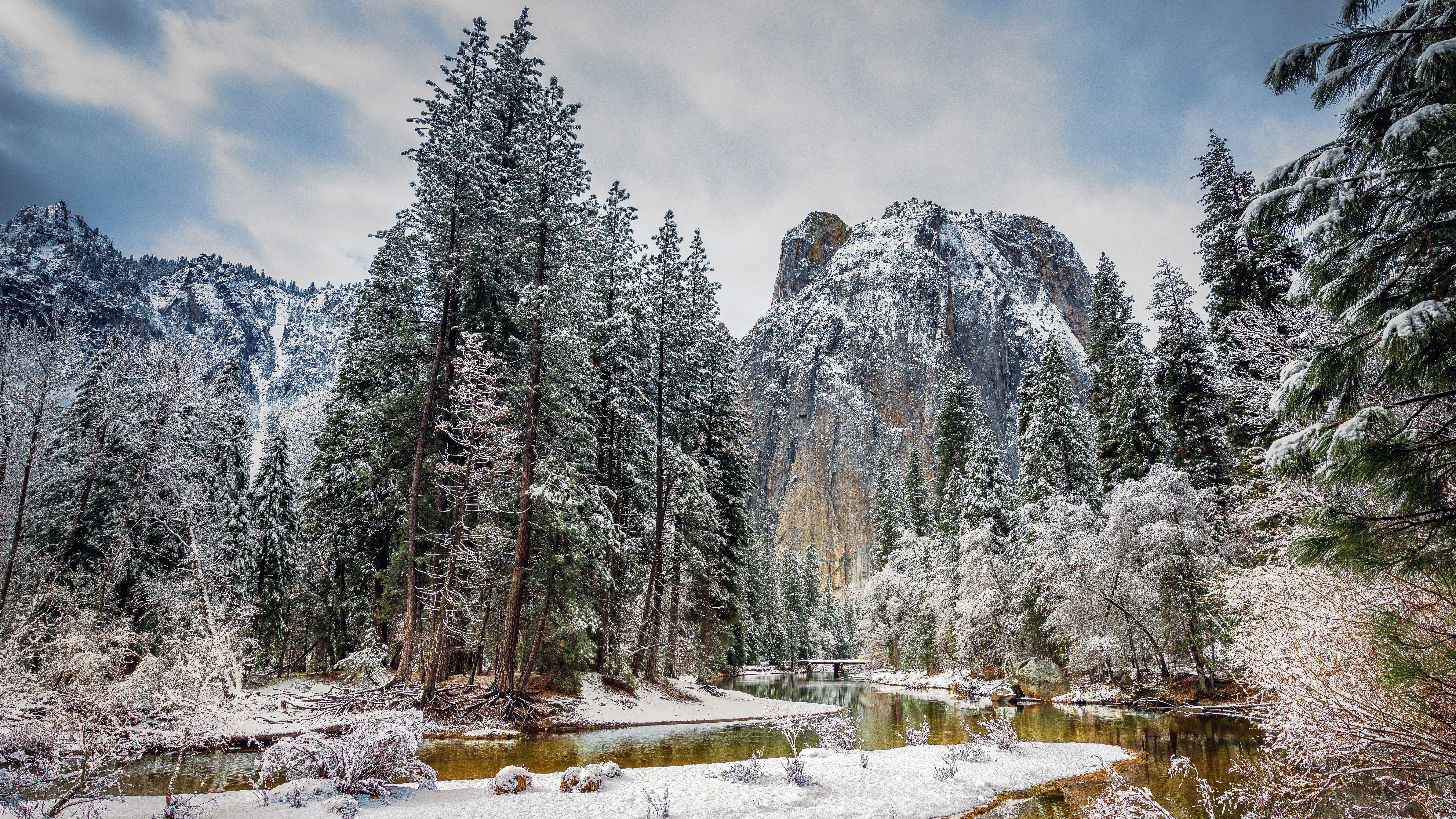 forest, land, growth, pine tree, nature, non-urban scene, tranquility, winter, no people, cloud - sky, sky, beauty in nature, scenics - nature, mountain, HD Wallpaper