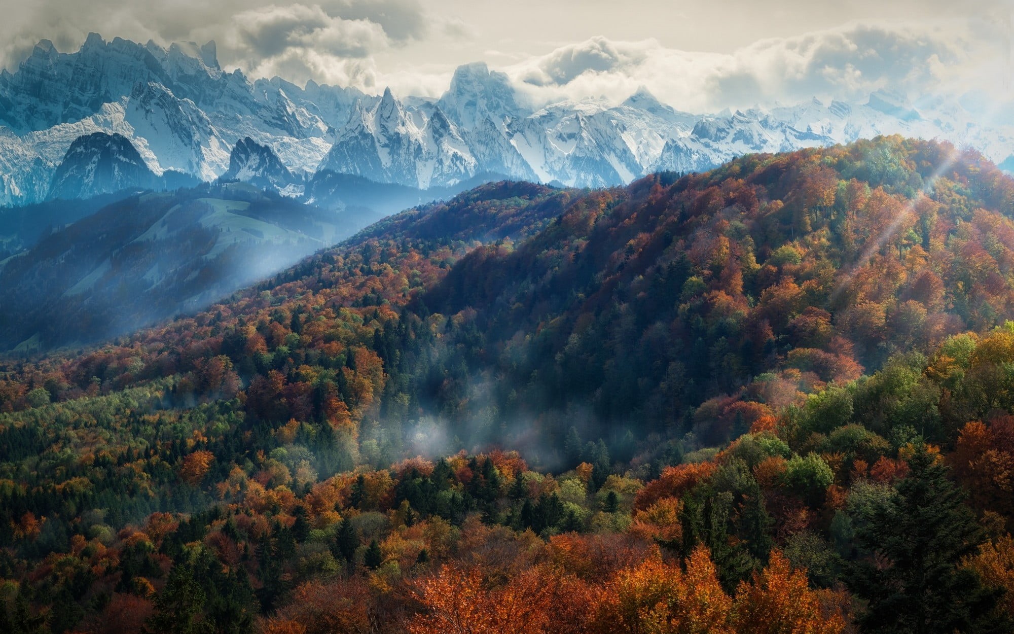 idyllic, rural Scene, no People, blue, sunlight, forest, fall, tranquility, day, sunset, valley, view, change, european Alps, tree, 1080P, growth, multi Colored, HD Wallpaper