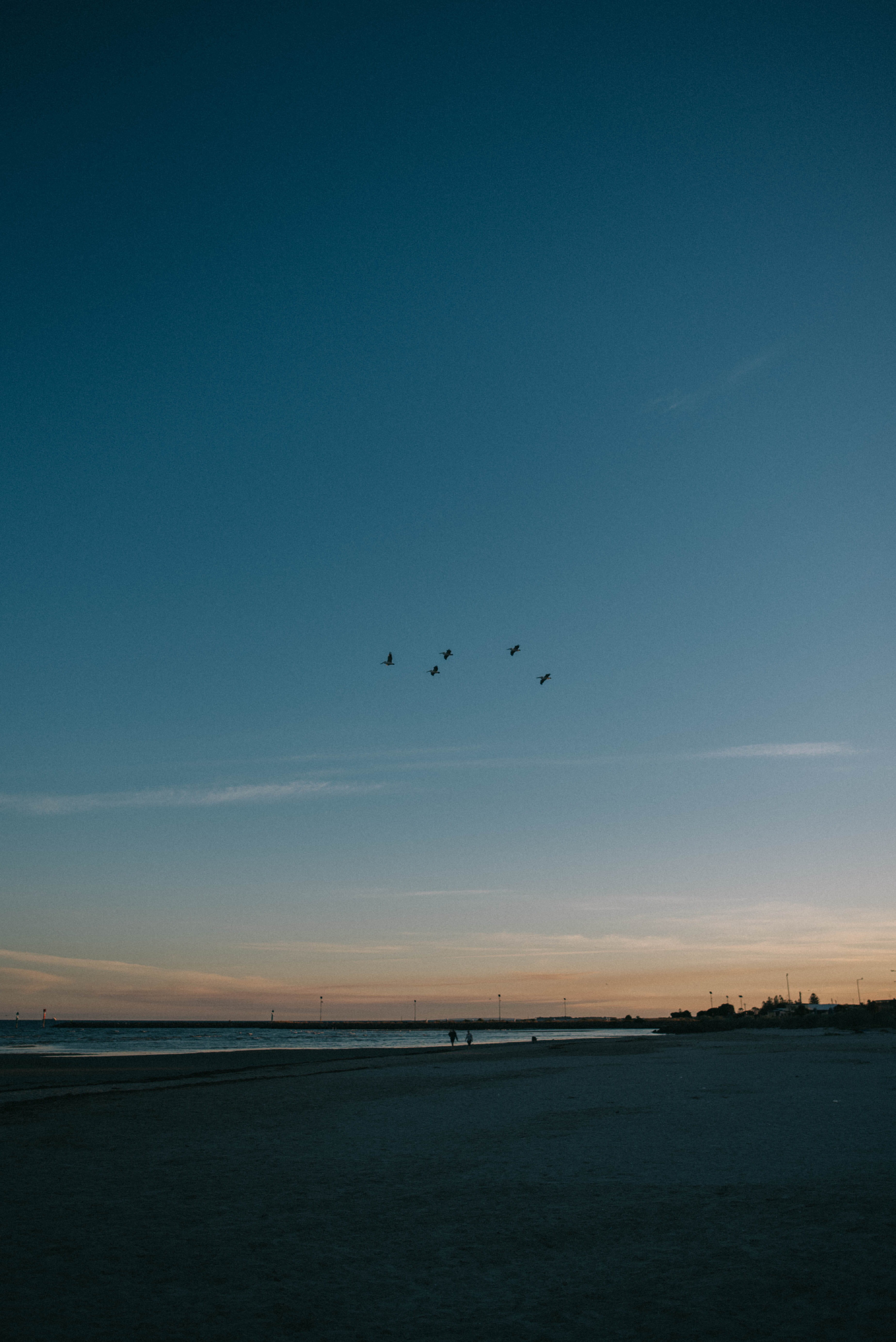 environment, water, group of animals, beauty in nature, retro, landscape, sky, no people, grunge, copy space, scenics - nature, flock of birds, tranquil scene, Phone HD Wallpaper