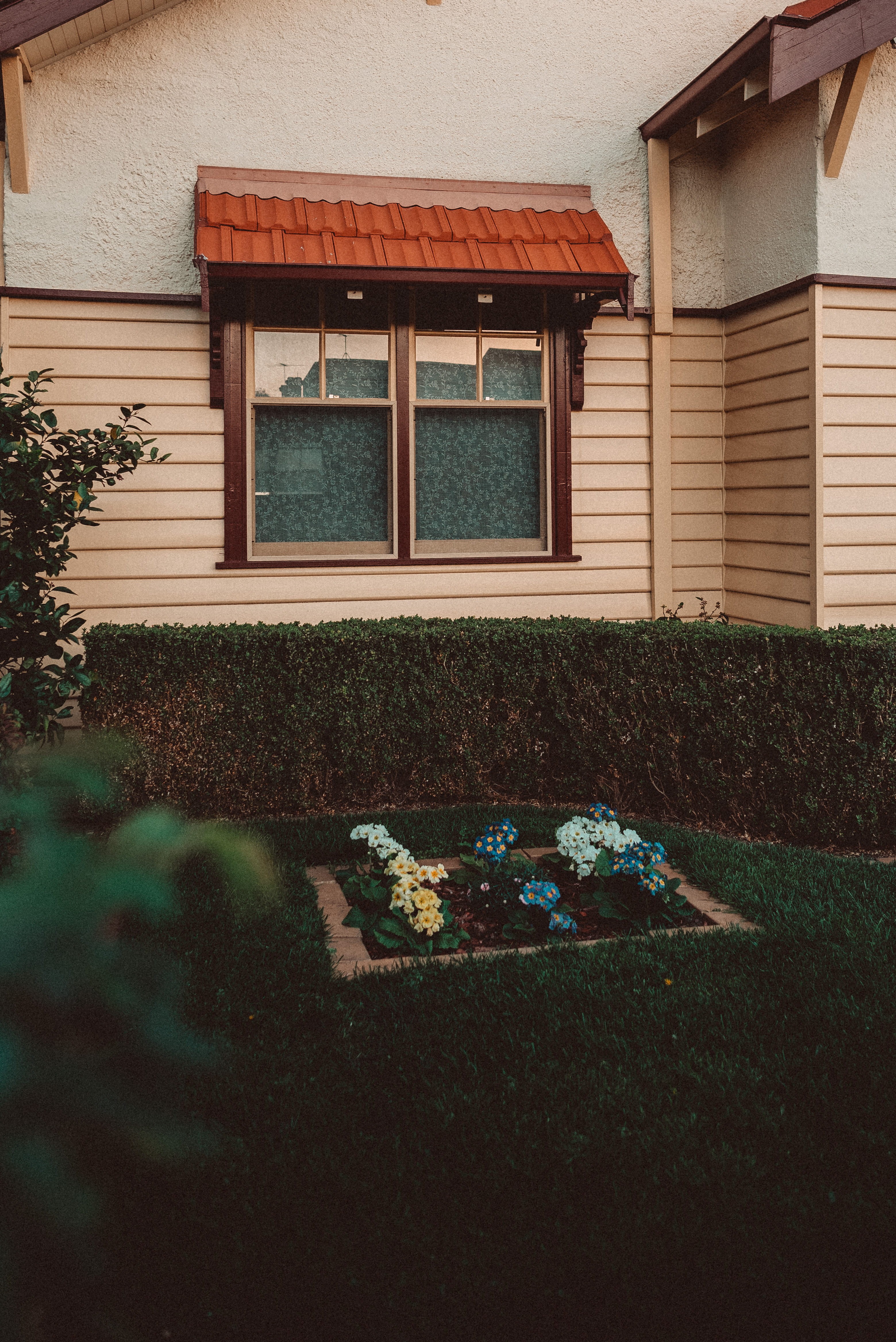 vintagae, house, formal Garden, bush, 4K, suburb, built Structure, residential District, home, windows, facade, home Ownership, grass, architecture, building Exterior, Phone HD Wallpaper