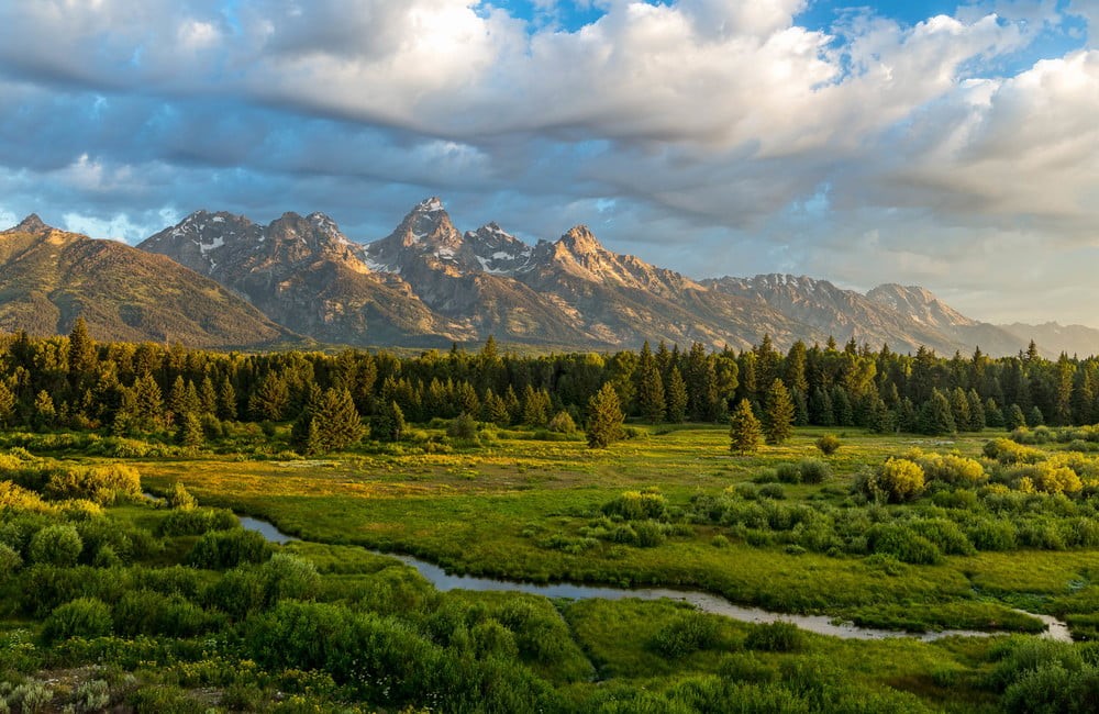 summer, landscape, grand teton national park, mountains, tree, sky, 480P, nature, fields, forest, mountain, clouds, mountain Peak, Day, photography, daytime, HD Wallpaper