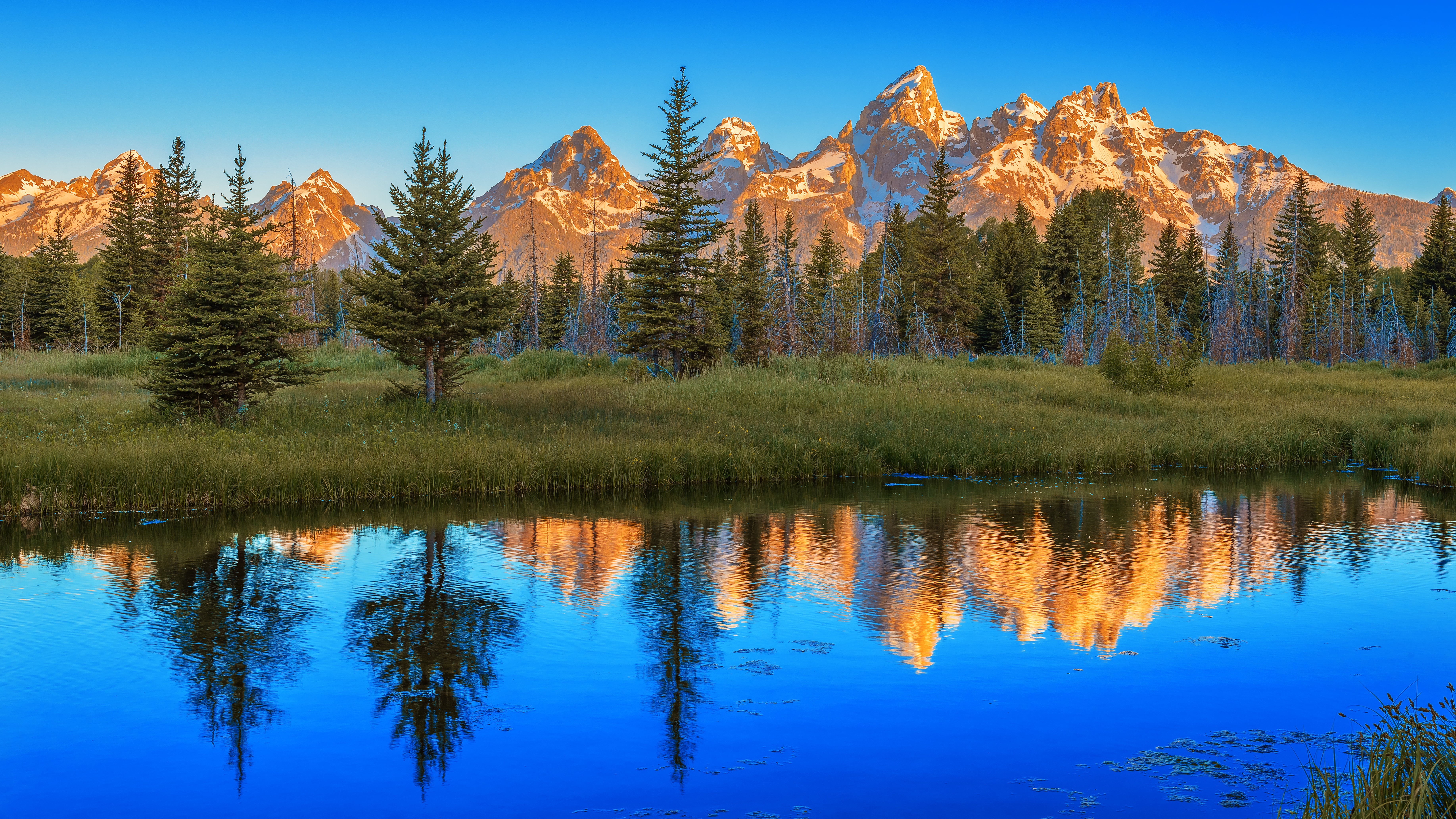 NP, Morning, tree, Wyoming, photo, outdoors, Water  World, Exploring, scenics, blue, lon, Explore, beauty In Nature, Nature, forest, U.S. National Park Service, HD Wallpaper