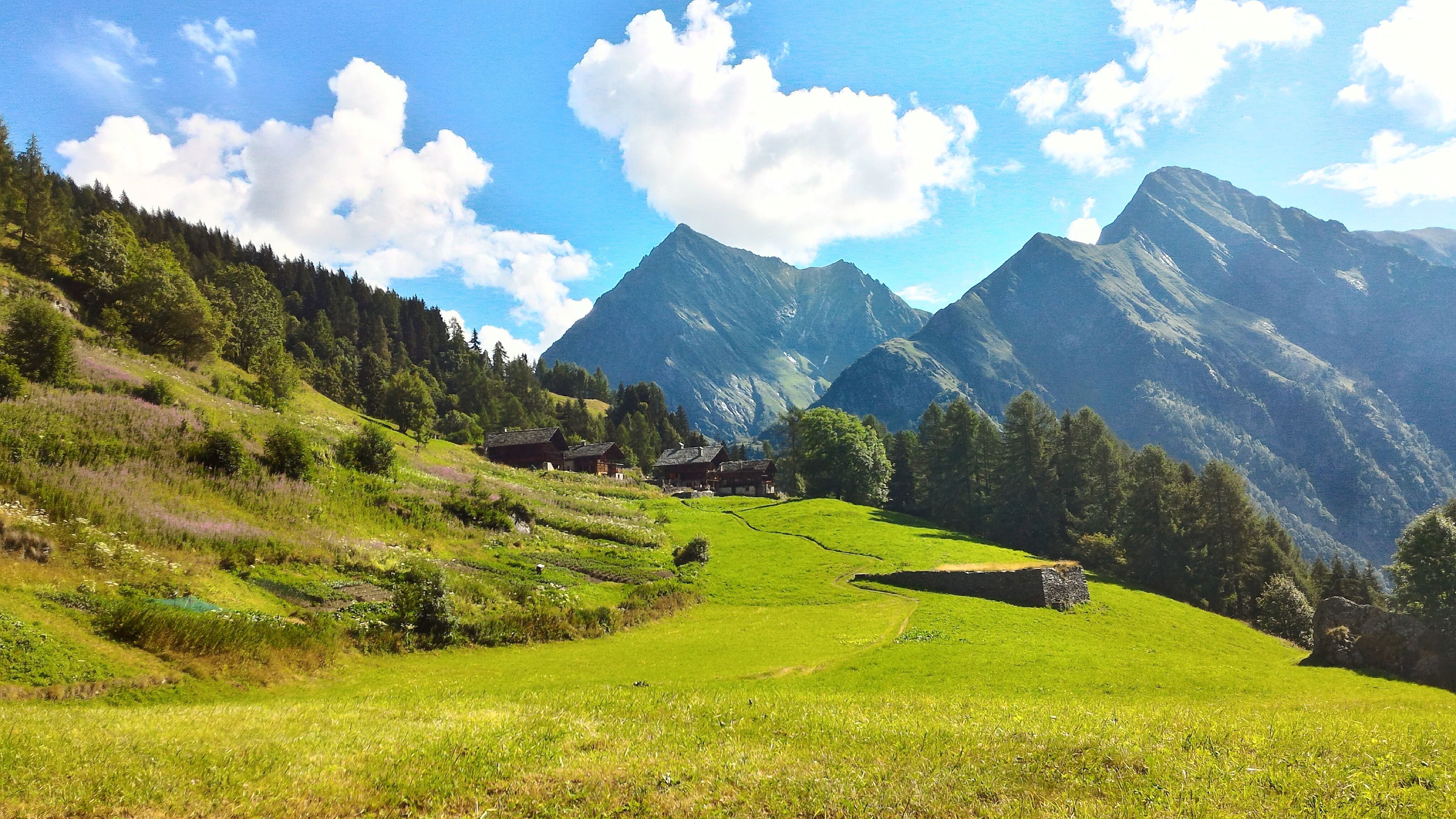 green grass, Il, hill, sky, grass, european Alps, green Color, grass field, mountain Peak, valley, green, da, near, summer, field, Tagliaferro, asus, daytime, HD Wallpaper