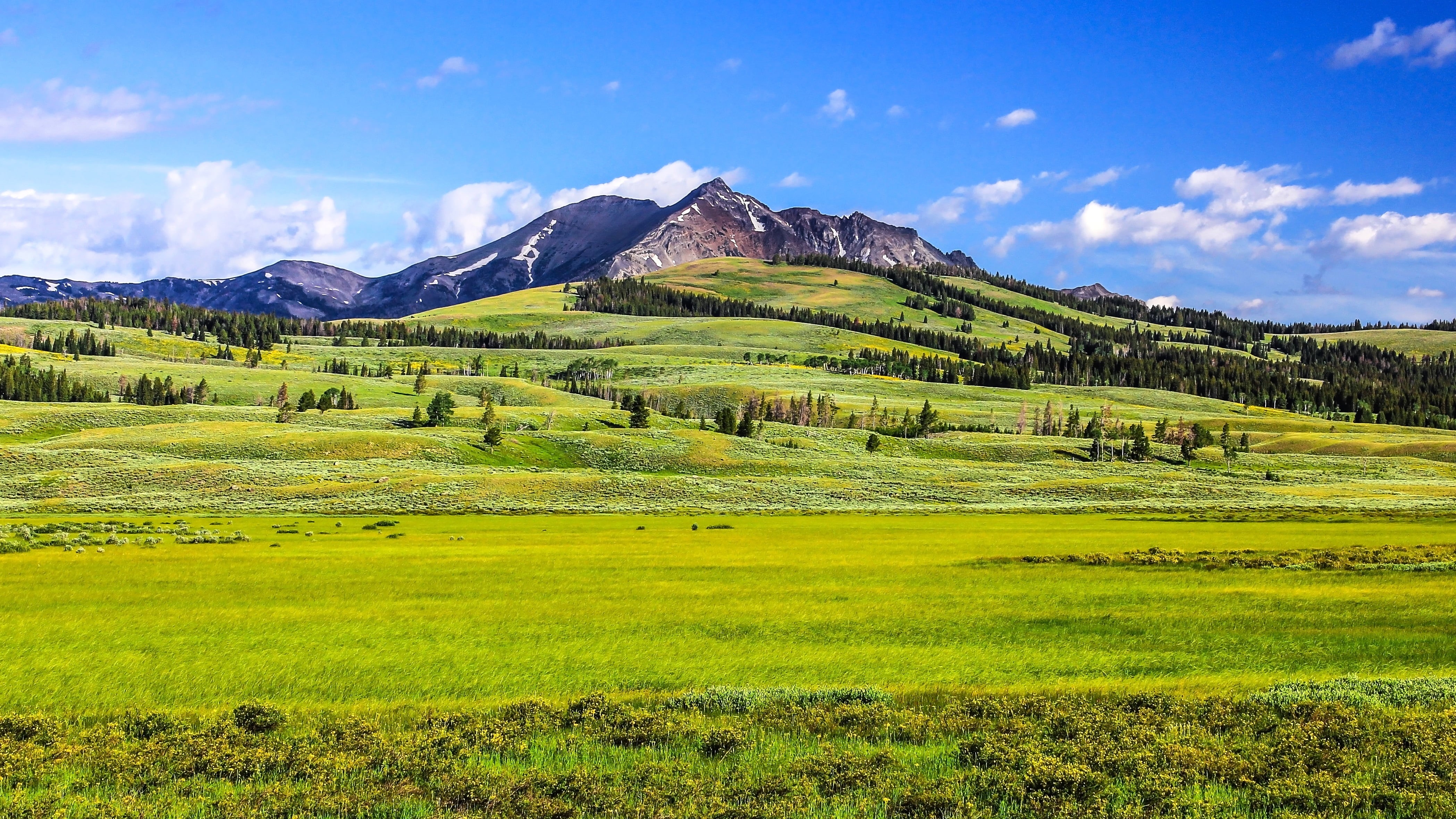 grass, blue sky, Yellowstone, Wyoming, near, europe, outdoors, West, Mountain, nature, field, sky, Plain, meadow, scenics, rural Scene, green Color, Scenic, HD Wallpaper