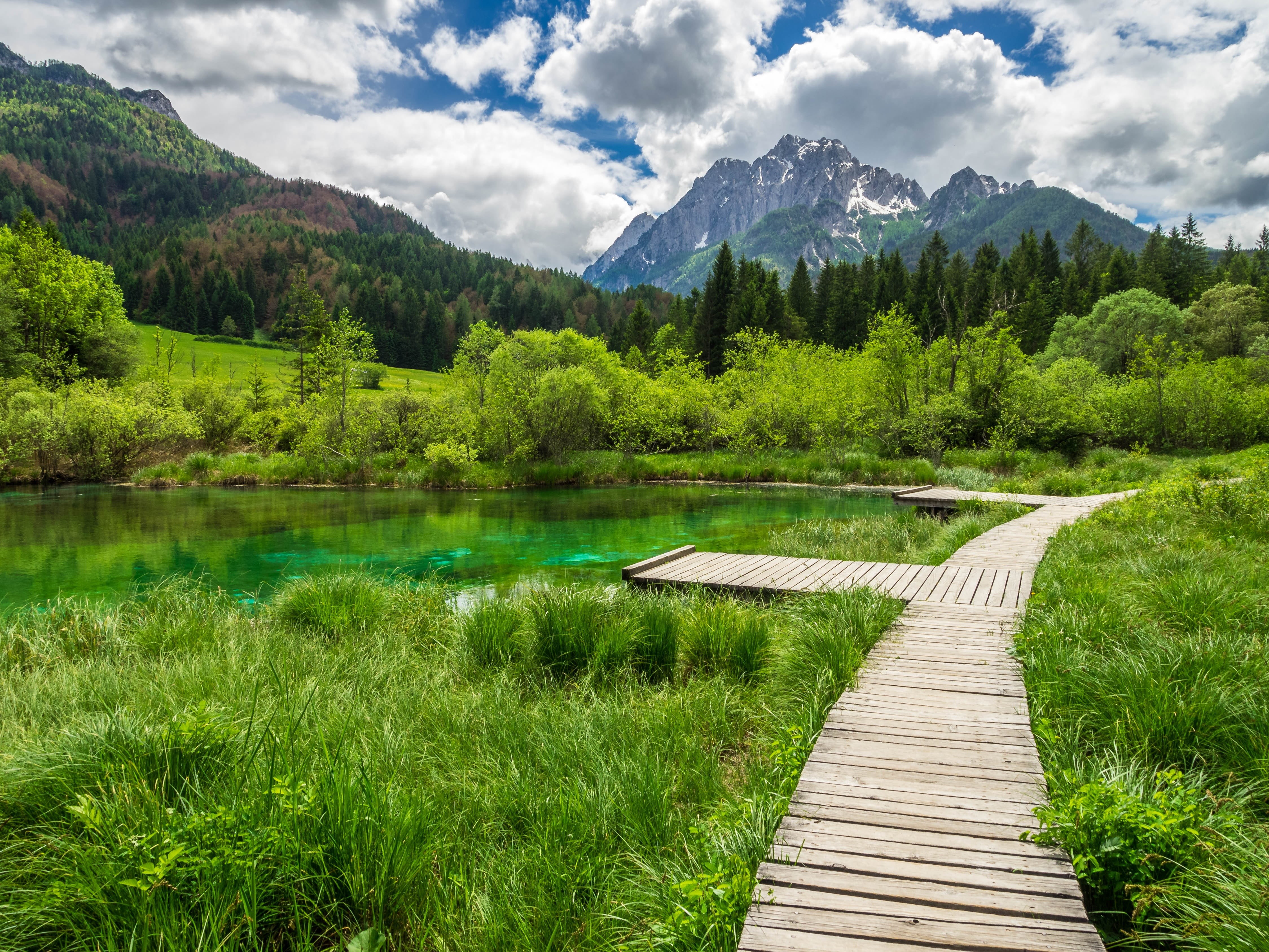 mountain range, no people, green color, lake, 4K, footpath, sava, beauty in nature, wood - material, slovenia, tree, cloud - sky, source, zelenci, landscape, HD Wallpaper