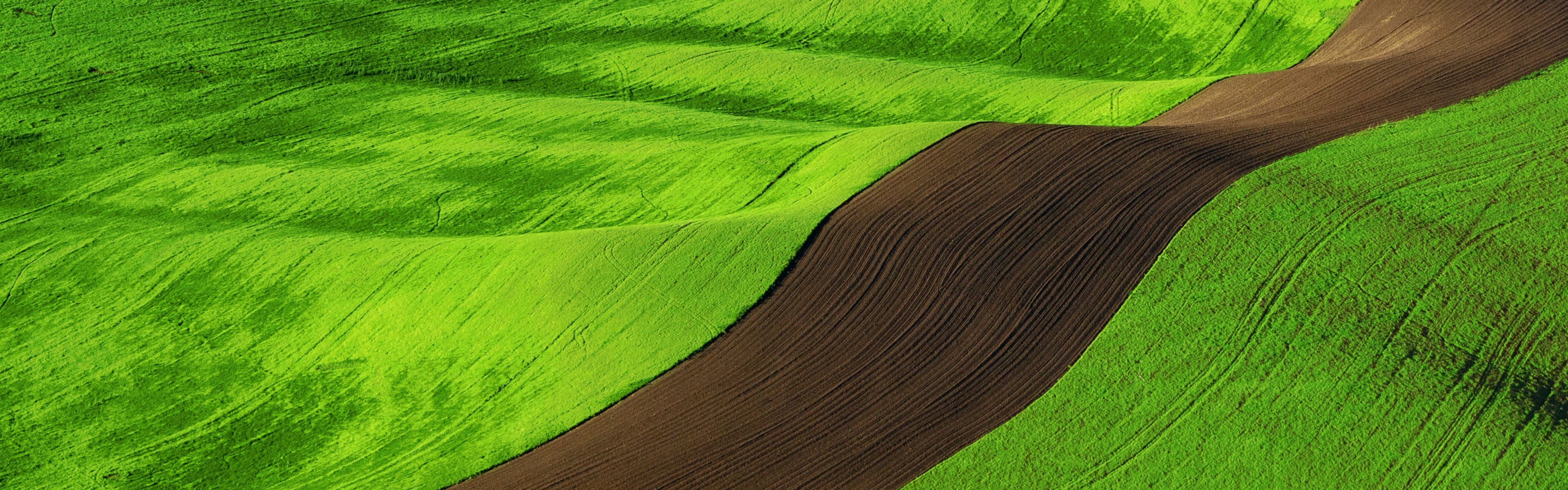 landscape, brown, field, grass, multiple display, 4K, green, nature, HD Wallpaper
