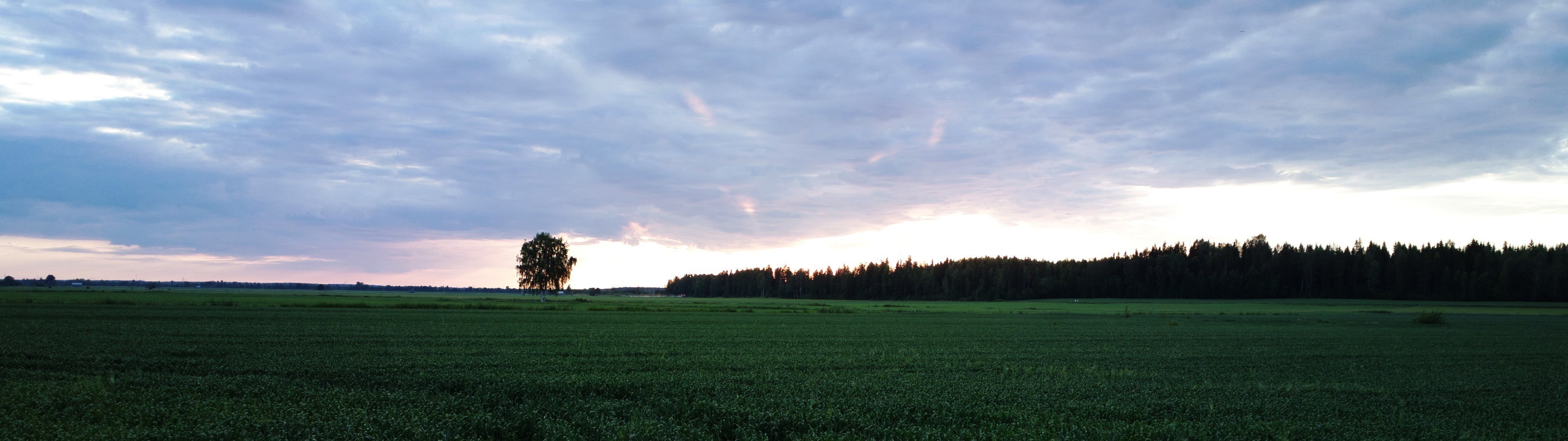 4K, grass, beauty in nature, trees, outdoors, no people, cloud - sky, clouds, green, scenics - nature, nature, sky, non-urban scene, environment, rural scene, HD Wallpaper