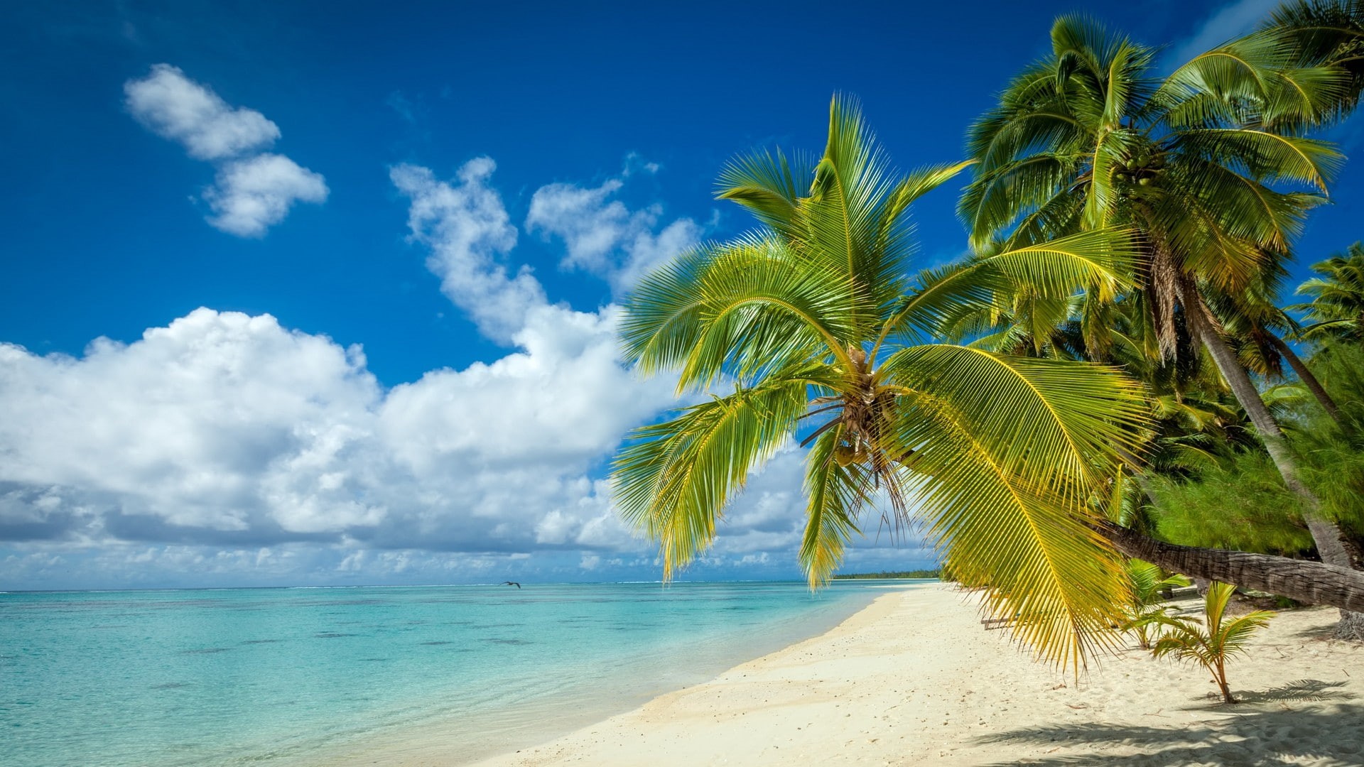 island, clouds, sea, land, tropical, scenics - nature, water, summer, horizon over water, sand, tropical climate, nature, no people, landscape, cloud - sky, HD Wallpaper