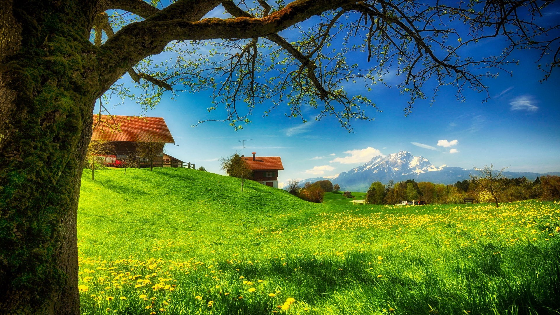 hd image of nature for pc 1920x1080, tranquil scene, growth, no people, building exterior, plant, environment, field, built structure, grass, tree, nature, HD Wallpaper