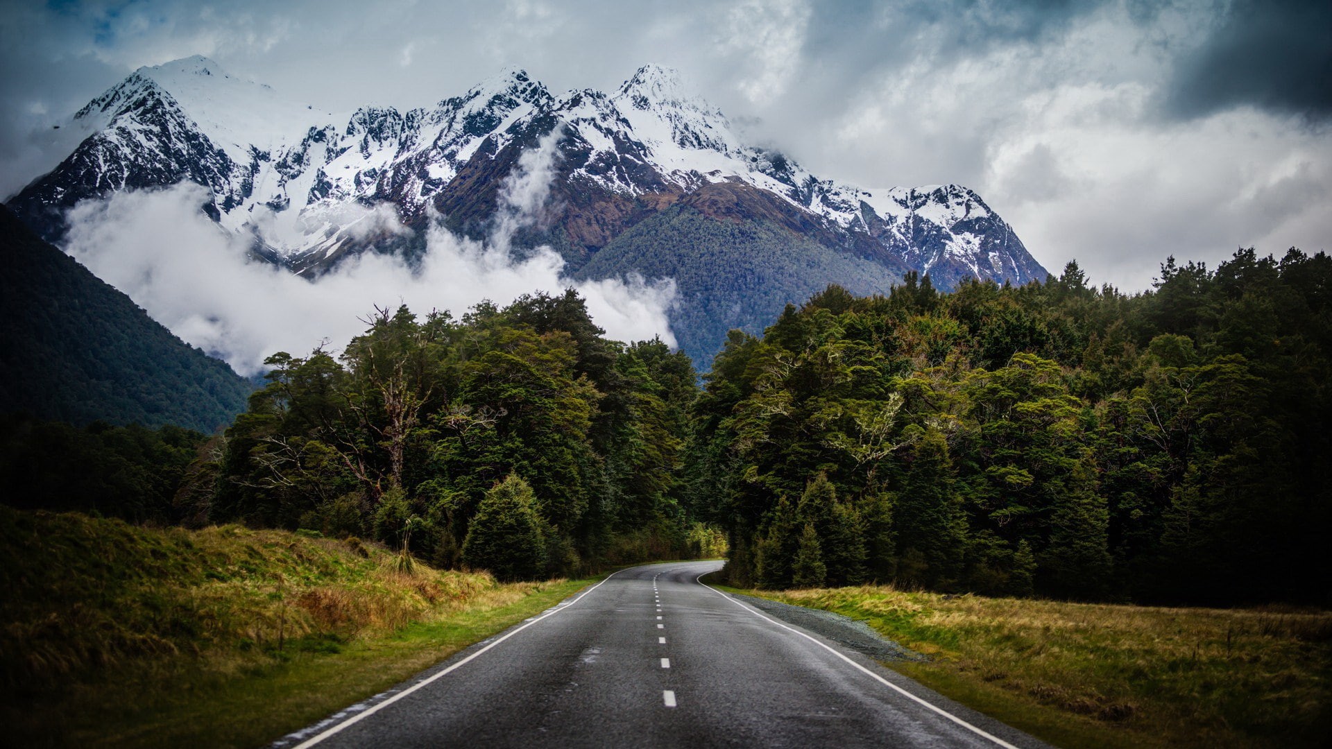 pine tree, cold temperature, tree, the way forward, snowcapped mountain, road trip, land, sky, environment, pc  hd 1080p nature  1920x1080, beauty in nature, HD Wallpaper