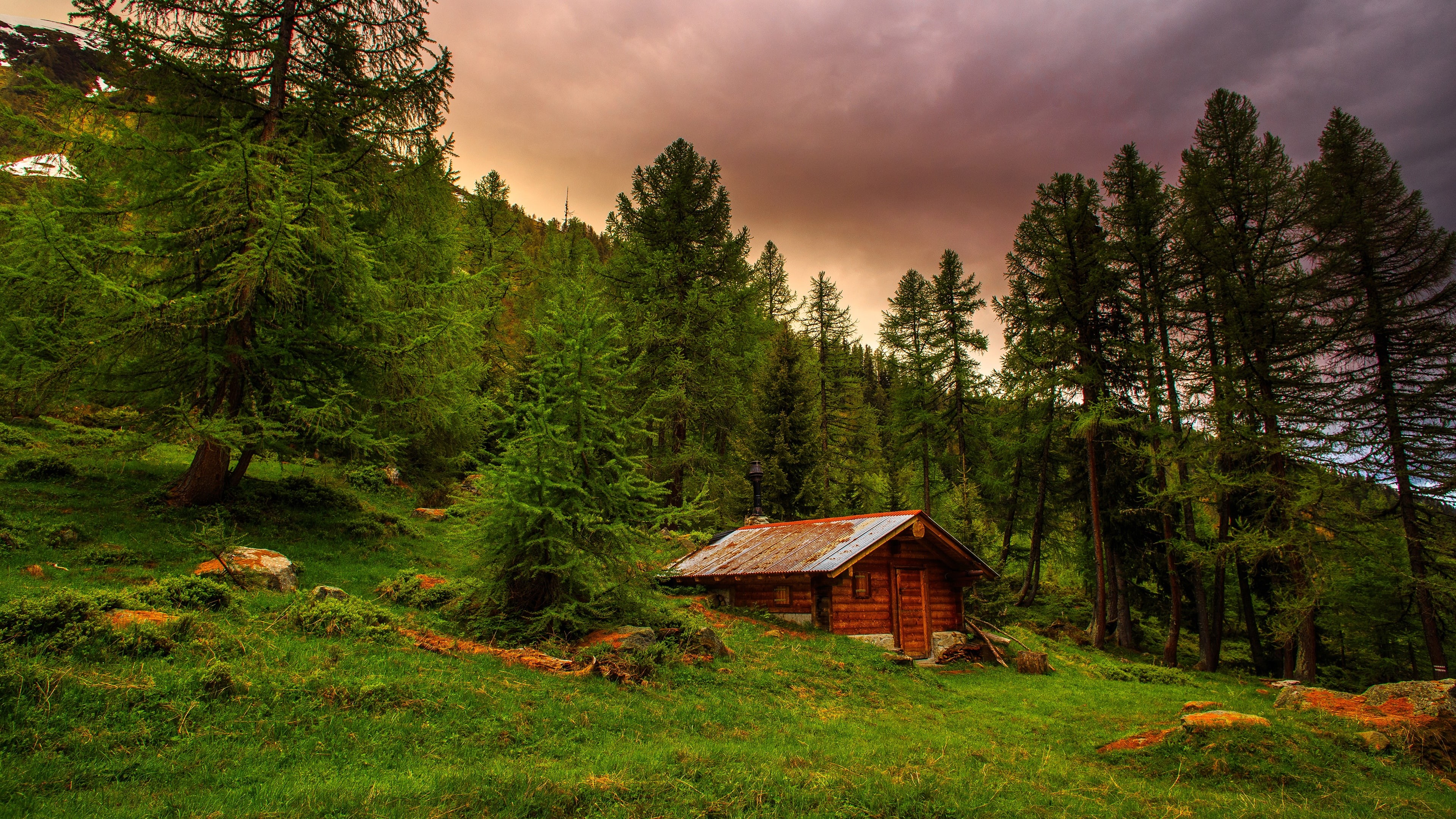 mountain, forest, switzerland, green, cottage, sky, alps, wilderness, hut, woody plant, tree, shack, 4K, nature, woodland, HD Wallpaper
