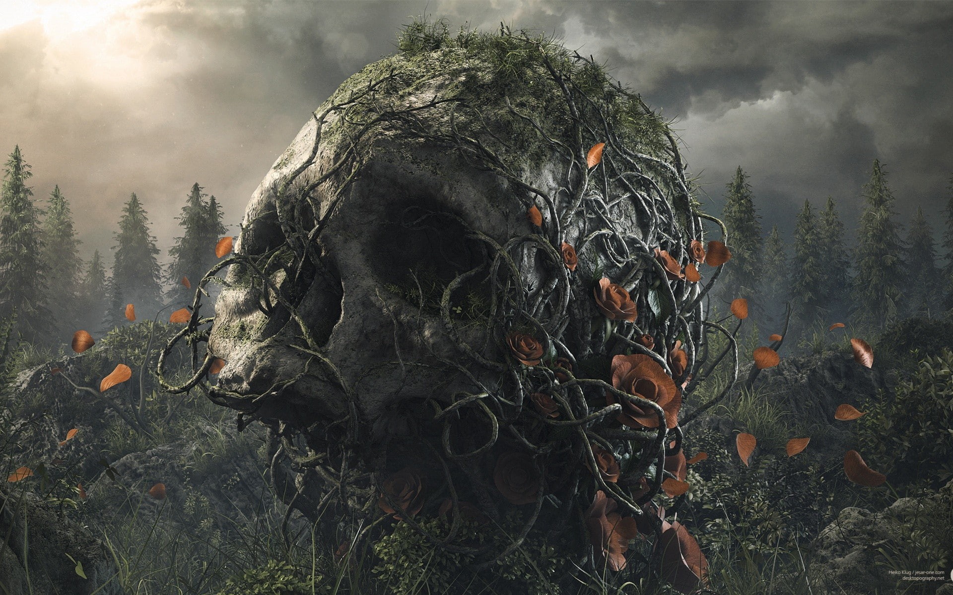 desktopography, artwork, art, dark, skull, roots, 1080P, forest, petals, nature, flowers, digital art, plants, trees, rose, clouds, digital, HD Wallpaper
