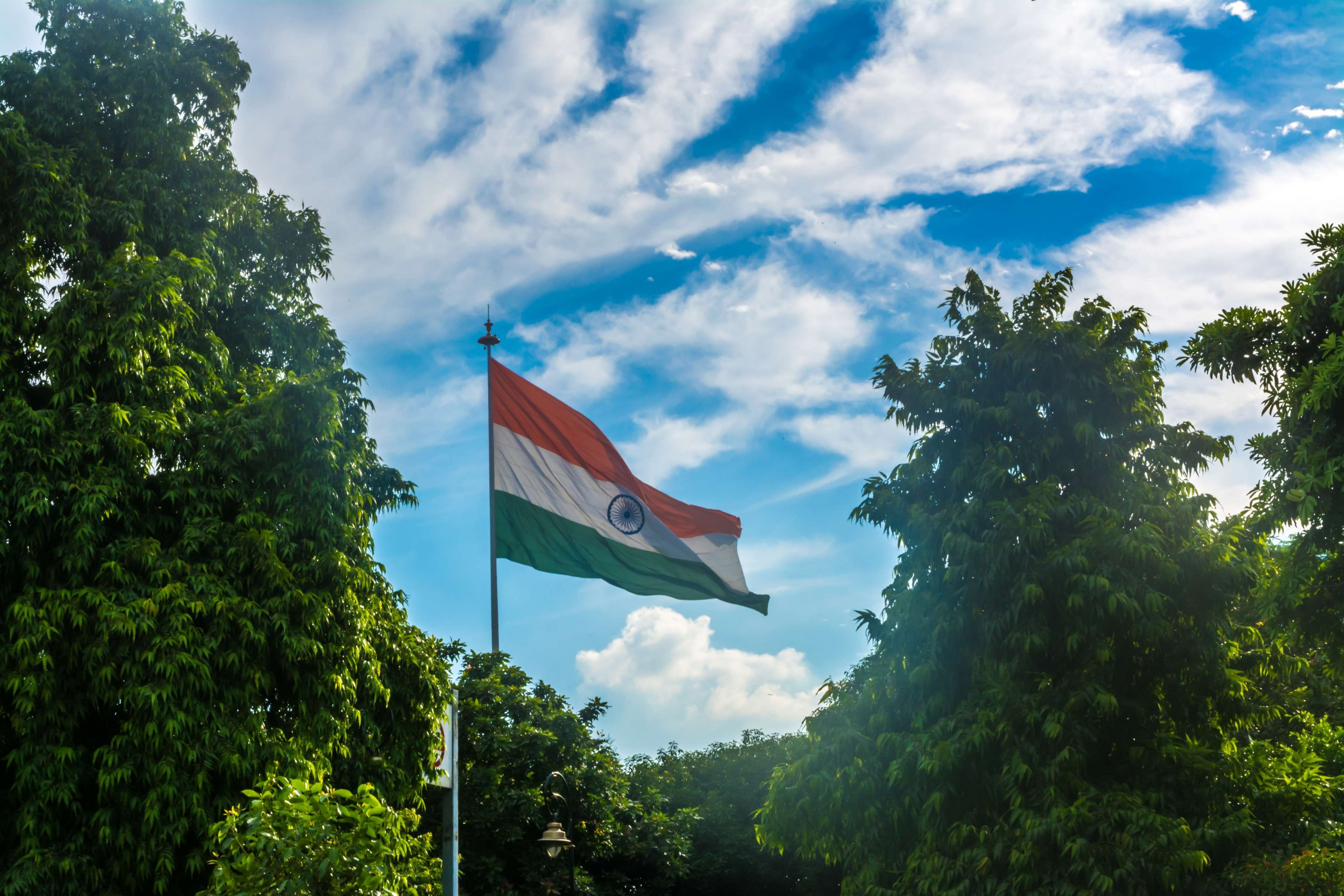 low angle view, pride, sky, beauty in nature, striped, ashok, ashok chakra, green, wind, growth, indian, tree, sunshine, flag, sunlight, outdoors, nature, HD Wallpaper