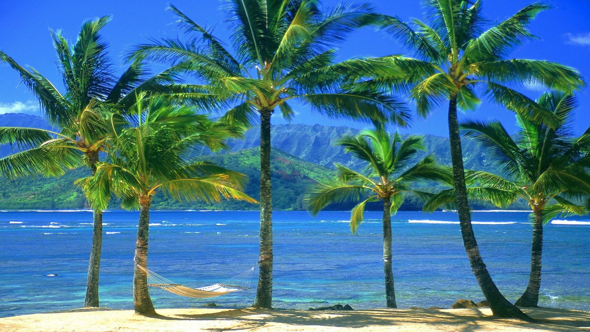 paradise, scene, nature, ocean, water, bay, cloud, horizon, landscape, tropical, plant, travel, no people, true laurel, sea, idyllic, blue, beach, clear, HD Wallpaper