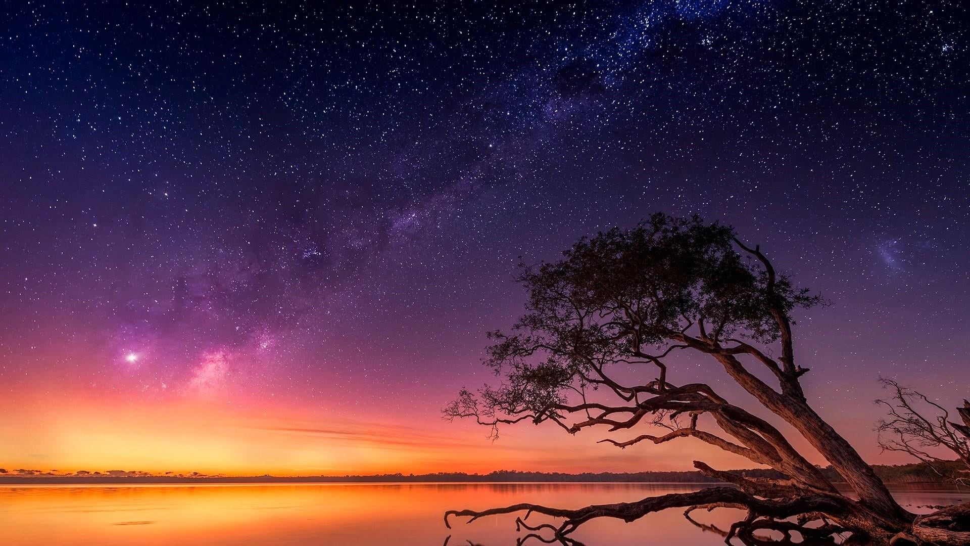 landscape, horizon, milky way, space and astronomy, atmosphere, no people, sky, tranquil scene, star - space, tree, idyllic, night, scenics - nature, starry, HD Wallpaper