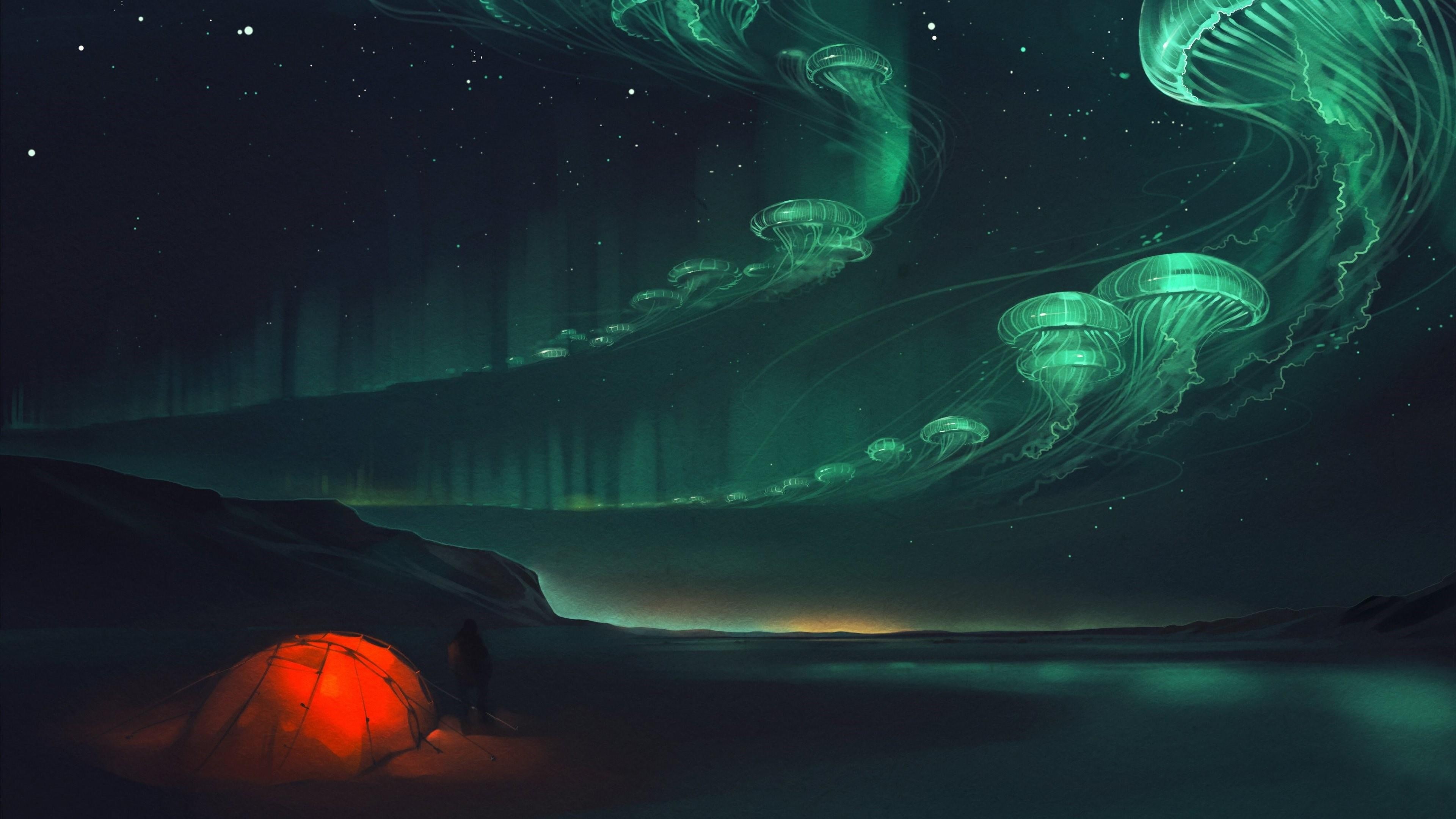 fantasy art, aurora borealis, jellies, northern light, phenomenon, medusa, aurora, light, darkness, starry night, fantasy, psychedelic, atmosphere, illuminating, HD Wallpaper