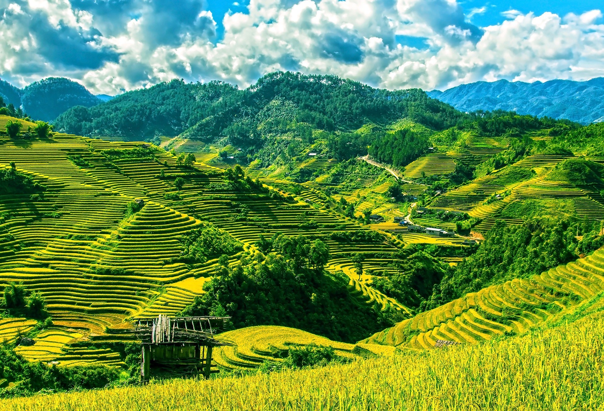 mountain, rice - cereal plant, harvest, land, scenics - nature, terraces, green, outdoors, nature, hill, growth, scenics, asia, landscaped, daytime, sky, HD Wallpaper
