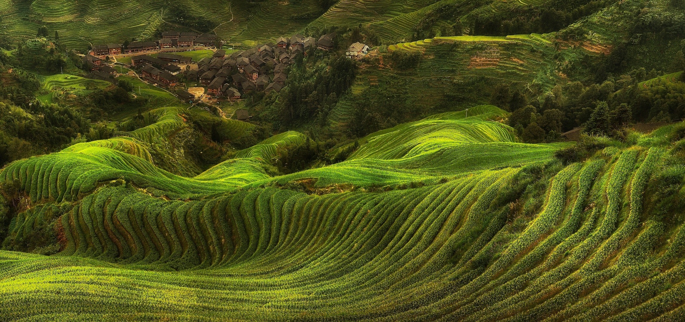 terraces, terraced field, no people, mountain, villages, hills, crop, 1080P, nature, tranquil scene, farm, rural scene, land, beauty in nature, scenics - nature, HD Wallpaper