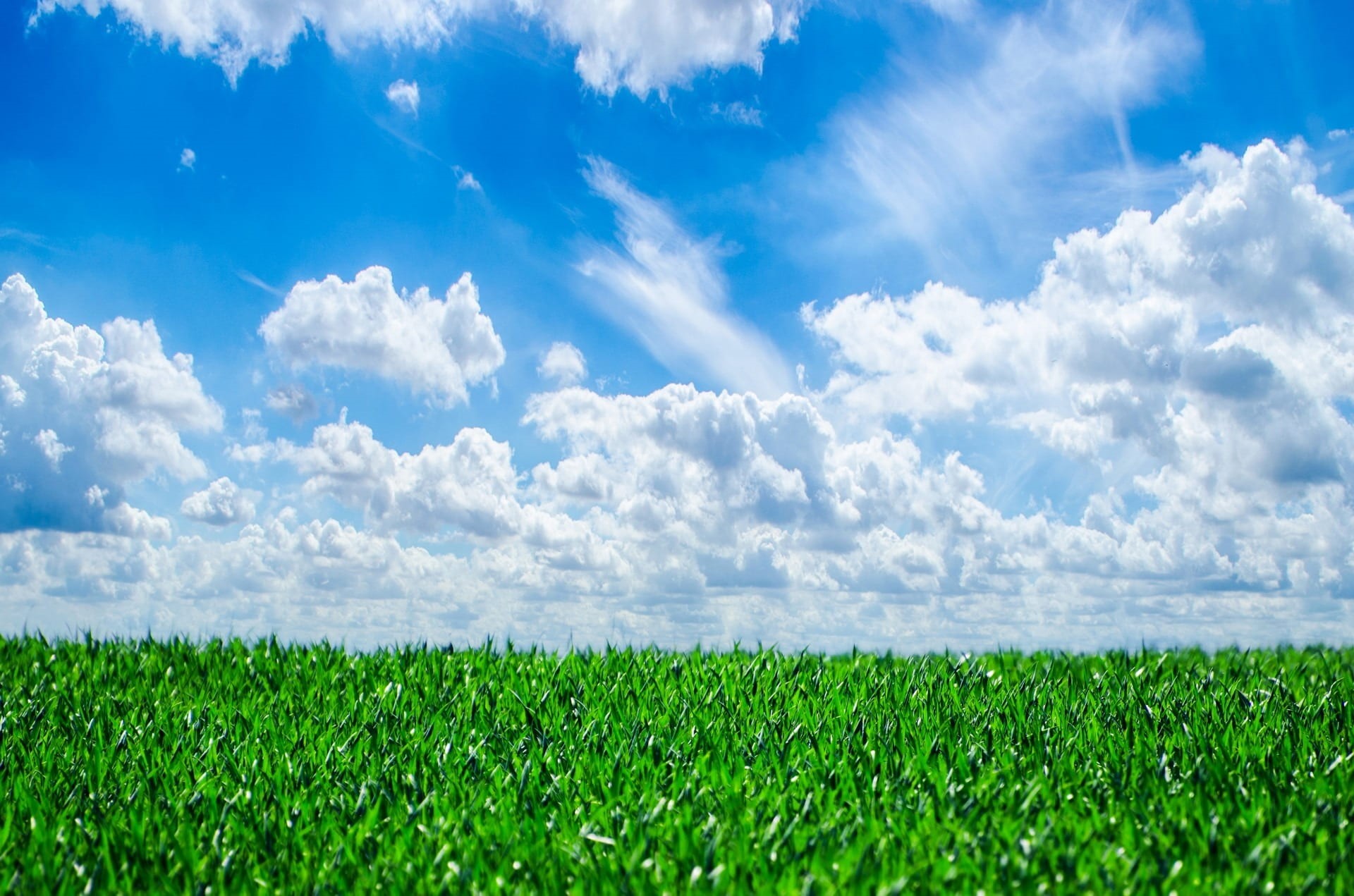 natural, rural scene, sun, field, atmosphere, plant, spring, beauty in nature, horizon over land, green color, clouds, background, sky, sunshine, blue, HD Wallpaper