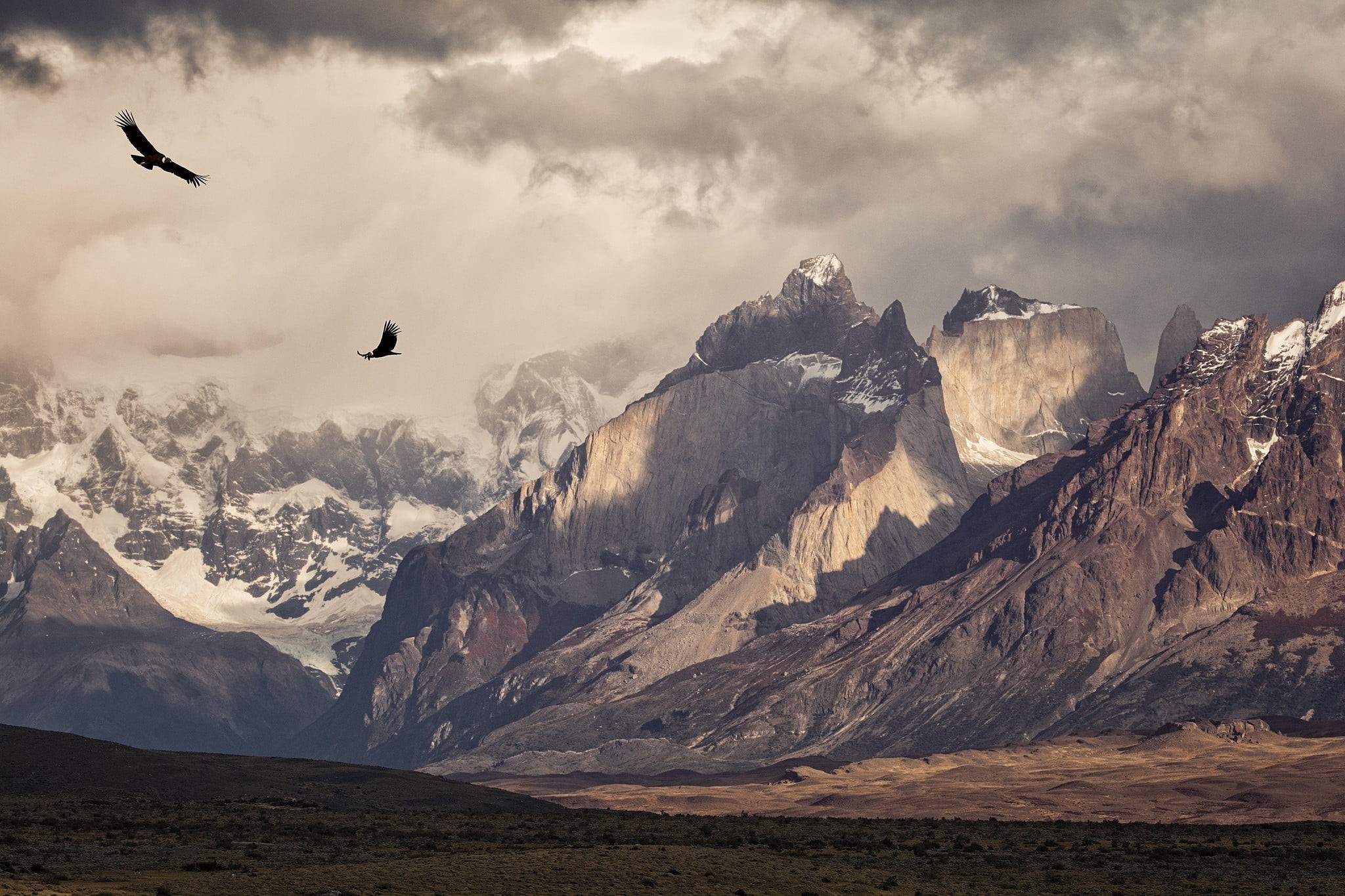 vertebrate, morning, mountains, birds, snowcapped mountain, snow, 1080P, caps, outdoors, snowy peak, animals in the wild, environment, animal, tranquil scene, HD Wallpaper