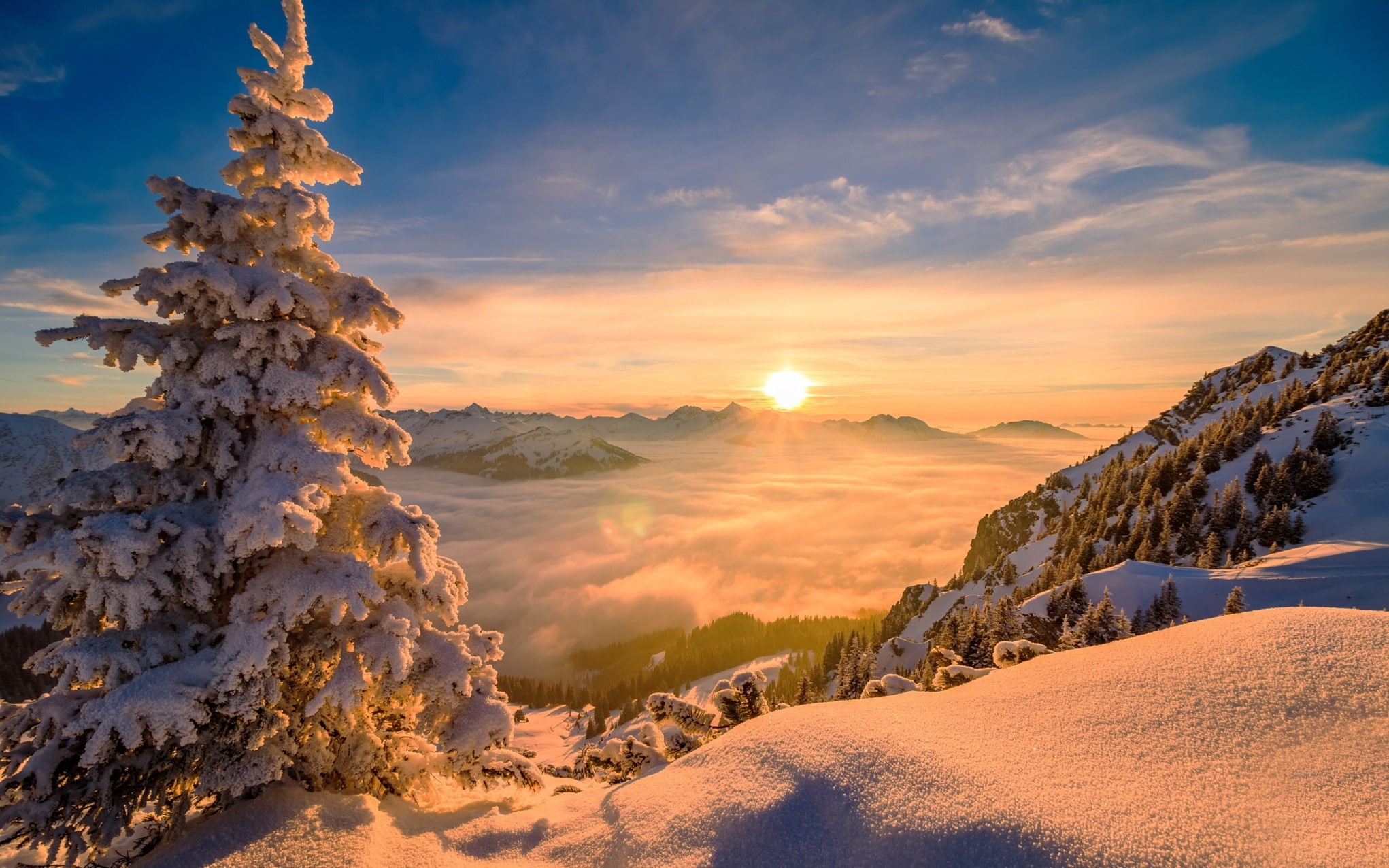 sunrise, Sun, trees, pine trees, nature, snow, winter, 1080P, mountains, mist, HD Wallpaper