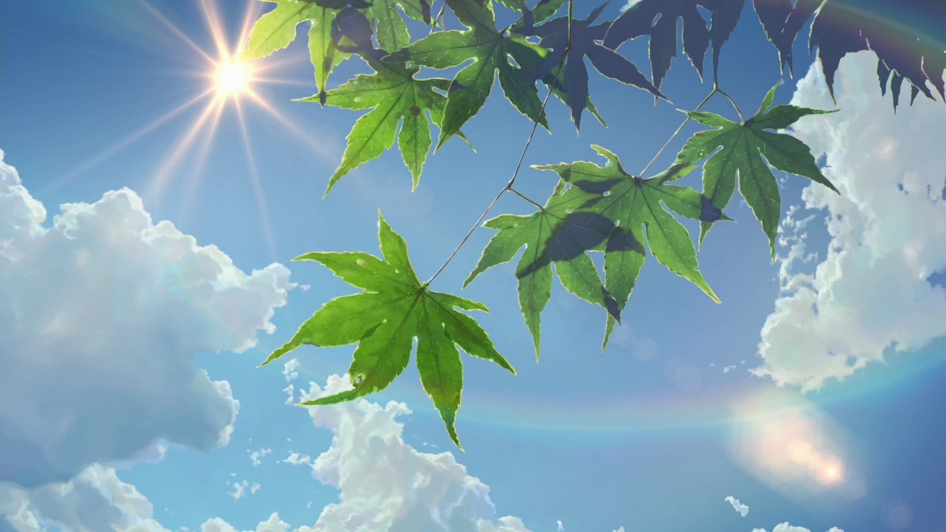 cannabis, bright, day, sunny, cloud - Sky, growth, forest, scenics, environment, tree, beauty In Nature, green Color, sunbeam, tranquility, nature, springtime, HD Wallpaper