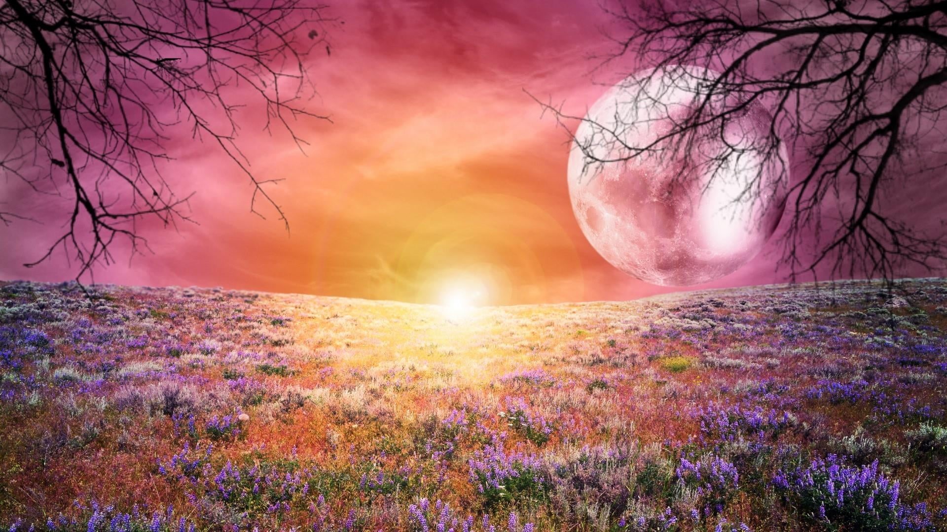 1080P, tranquil scene, cloud - sky, dream, no people, land, beauty in nature, plant, idyllic, tranquility, sunset, landscape, sun, dreamland, sky, outdoors, HD Wallpaper