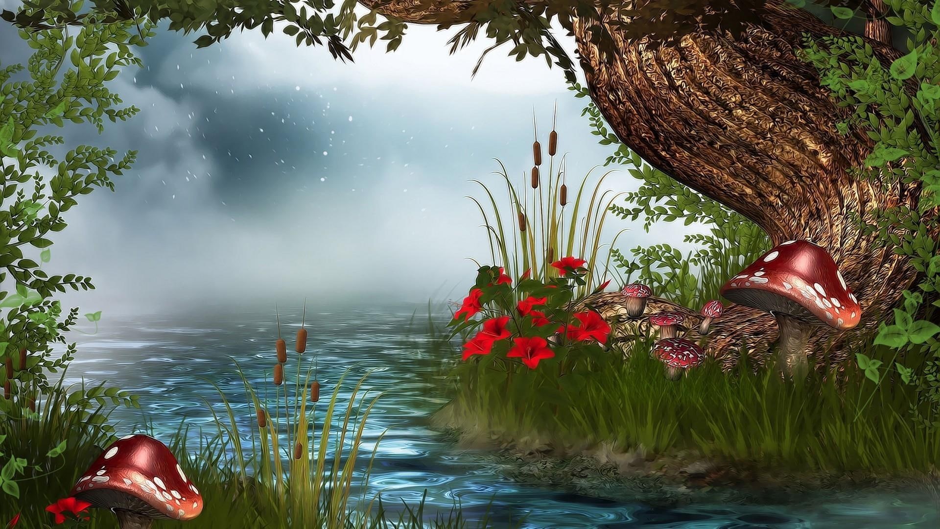 1080P, fantasy, dreamland, tail, mushroom, forest, HD Wallpaper