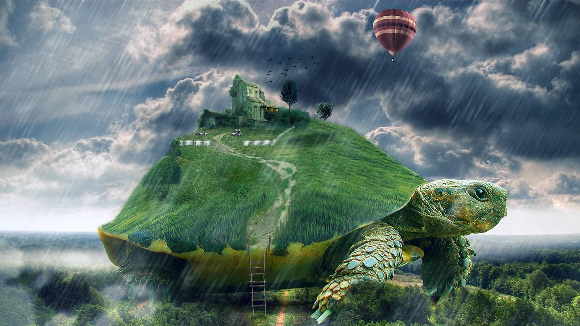 house, nature, parachute, 1080P, reptile, flying, hot air balloon, water, environment, raining, adventure, wind, sea, sky, turtle, beauty in nature, digital composite, HD Wallpaper