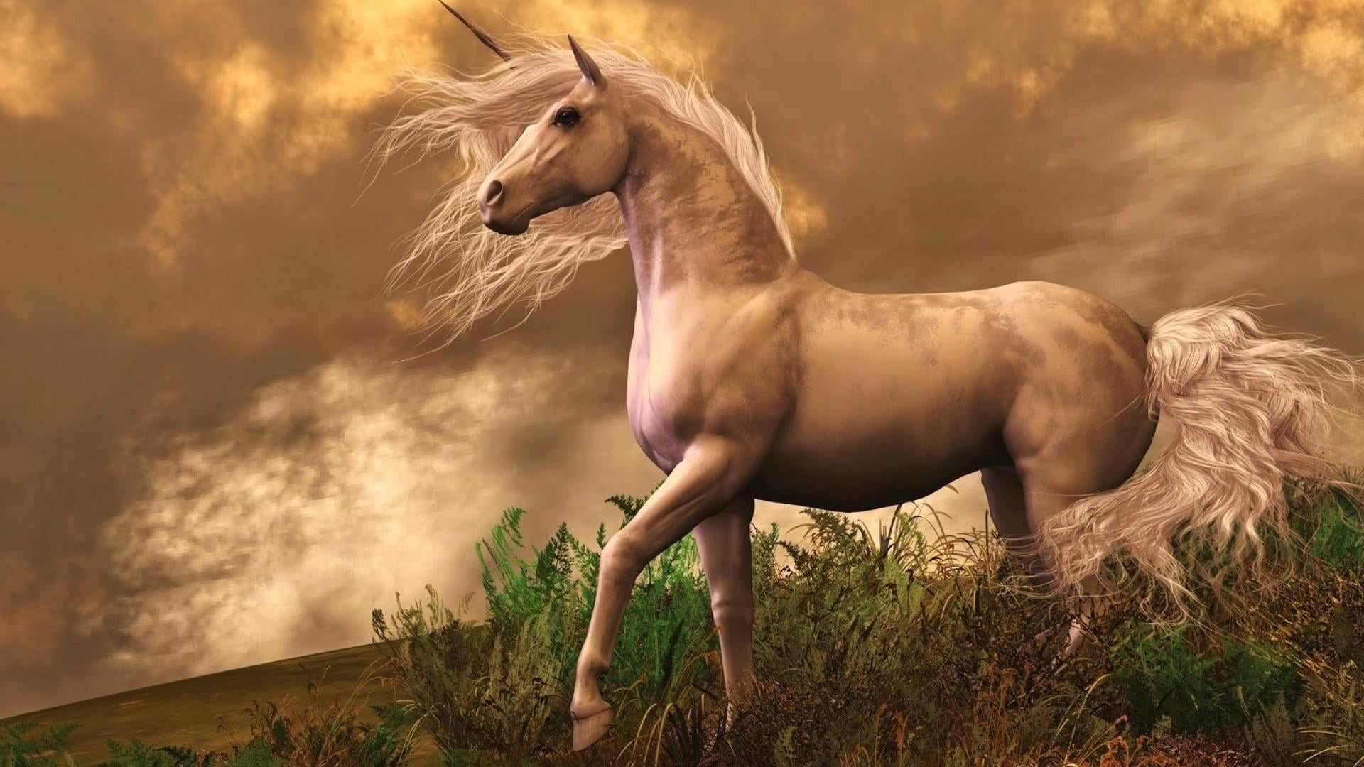 domestic animals, grass, plant, sunset, livestock, side view, 1080P, horse, illustration, animal wildlife, profile view, herbivorous, mythology, cloud - sky, HD Wallpaper