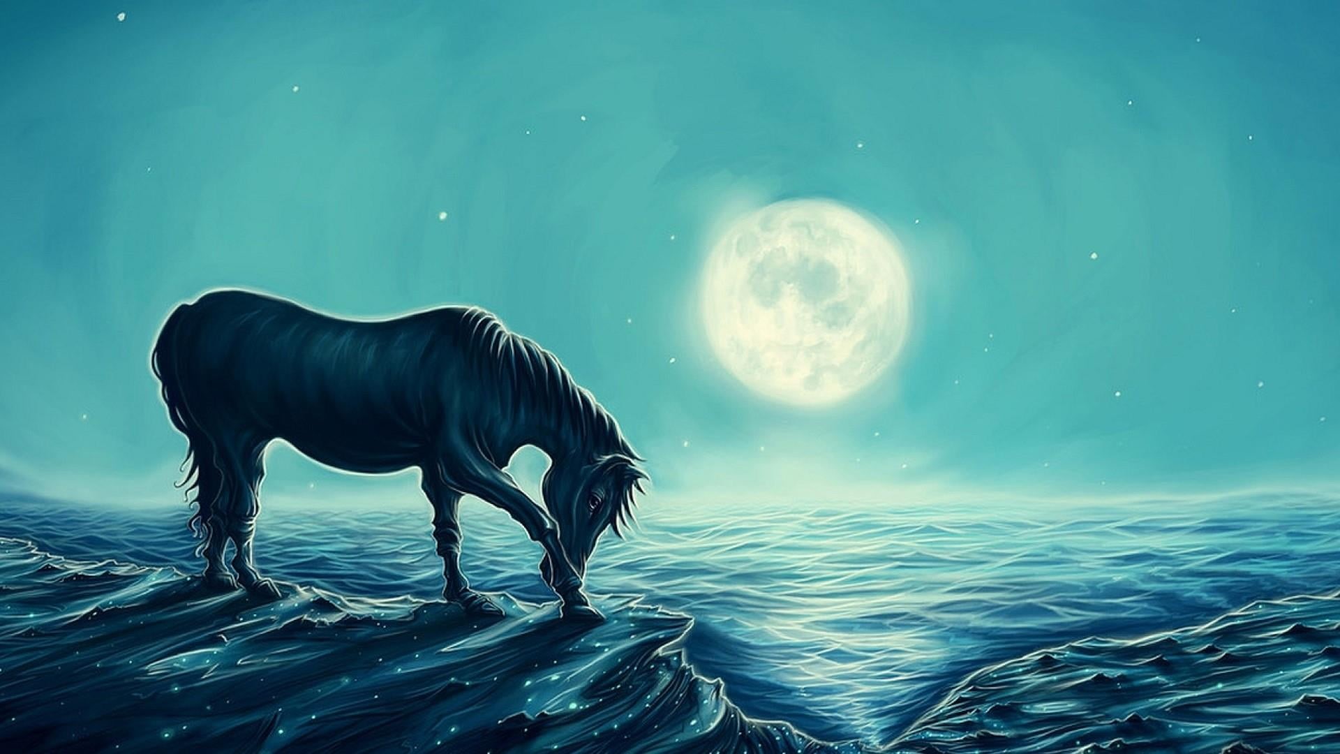 wave, animal wildlife, full length, 1080P, fantasy art, dreamland, one animal, mammal, beauty in nature, darkness, nature, domestic, animal, vertebrate, HD Wallpaper