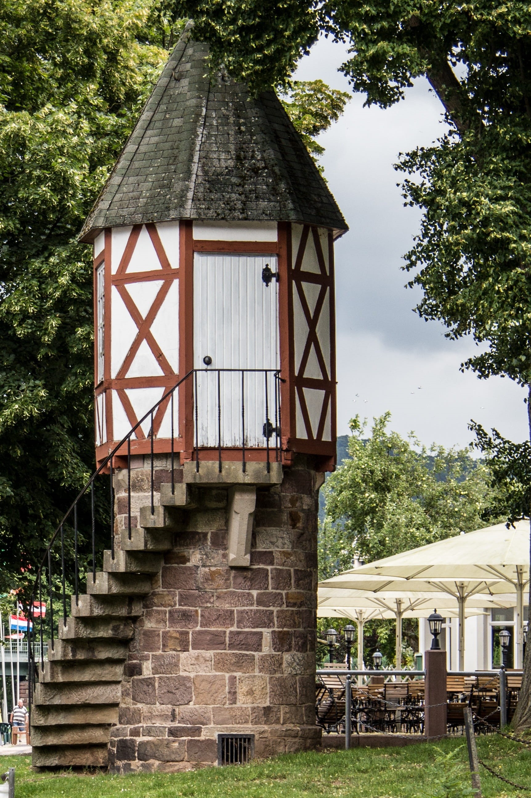low angle view, gazebo, growth, 2K, tower, building exterior, window, tree, spiral staircase, architecture, outdoors, no people, day, nature, watchtower, Phone HD Wallpaper