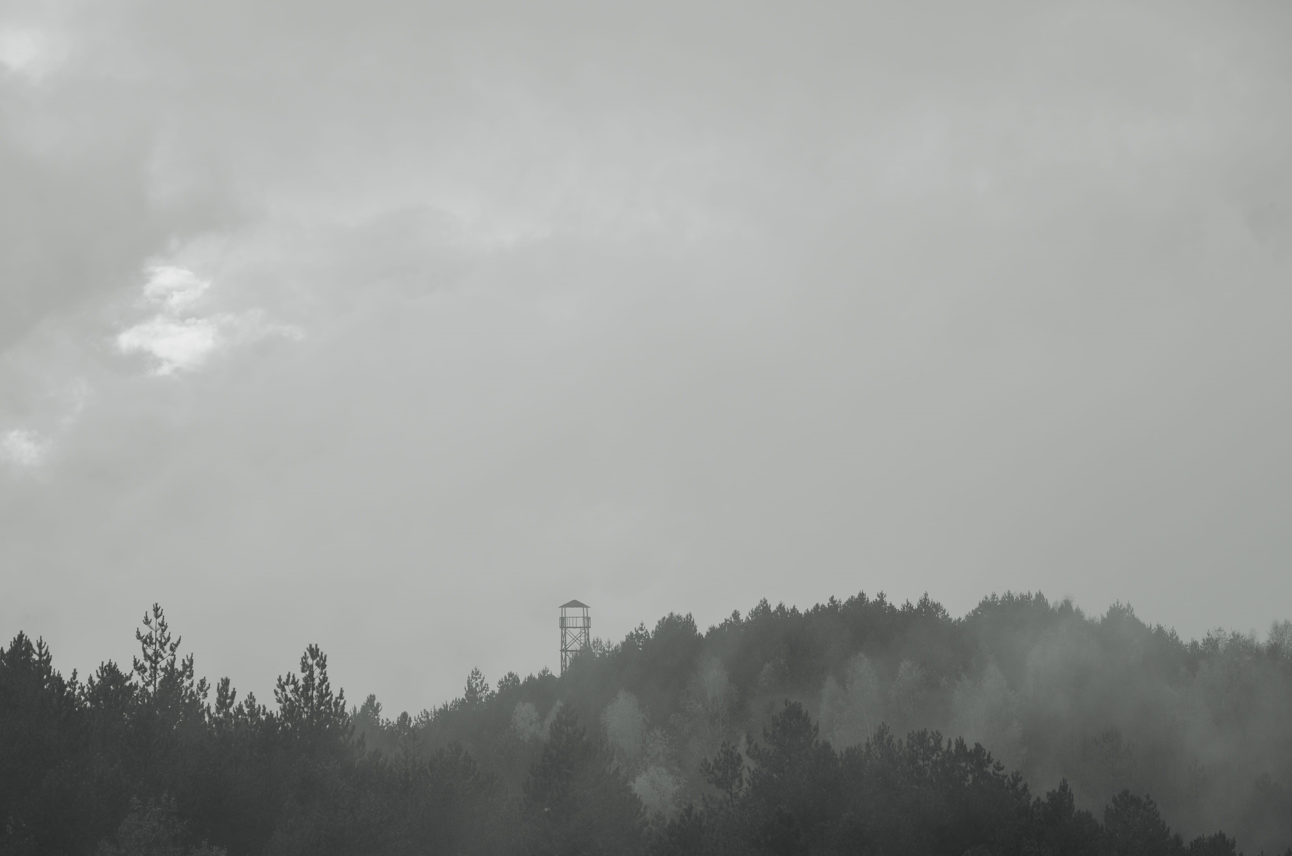 tranquility, non-urban scene, tranquil scene, sky, fog, forest, cloudy, watchtower, outdoor, nature, environment, hazy, no people, trees, idyllic, autumn, HD Wallpaper