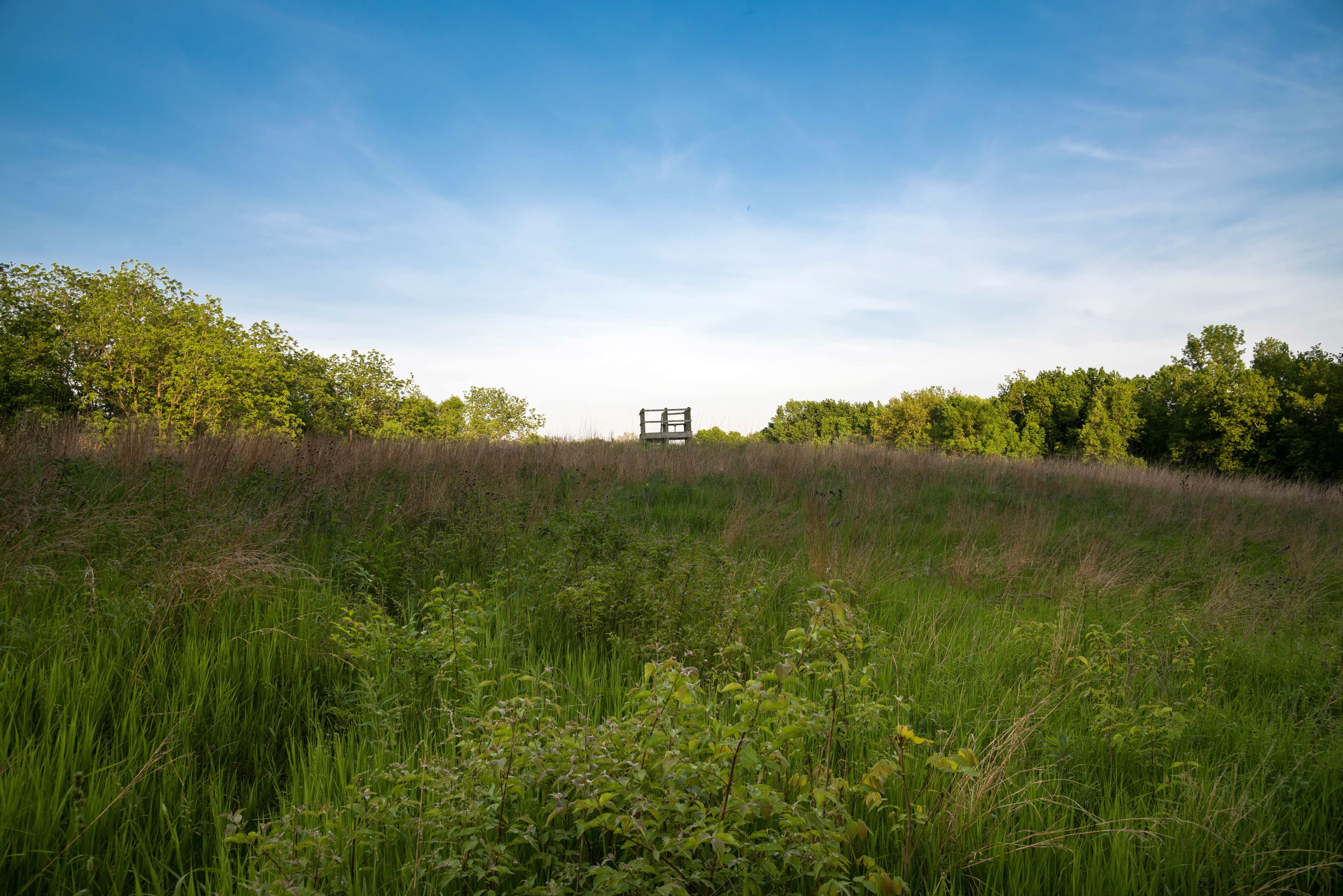 watchtower, cloud - sky, 5K, outdoors, tree, no people, growth, land, green Color, agriculture, architecture, public domain, "mississippi palisades state park", HD Wallpaper