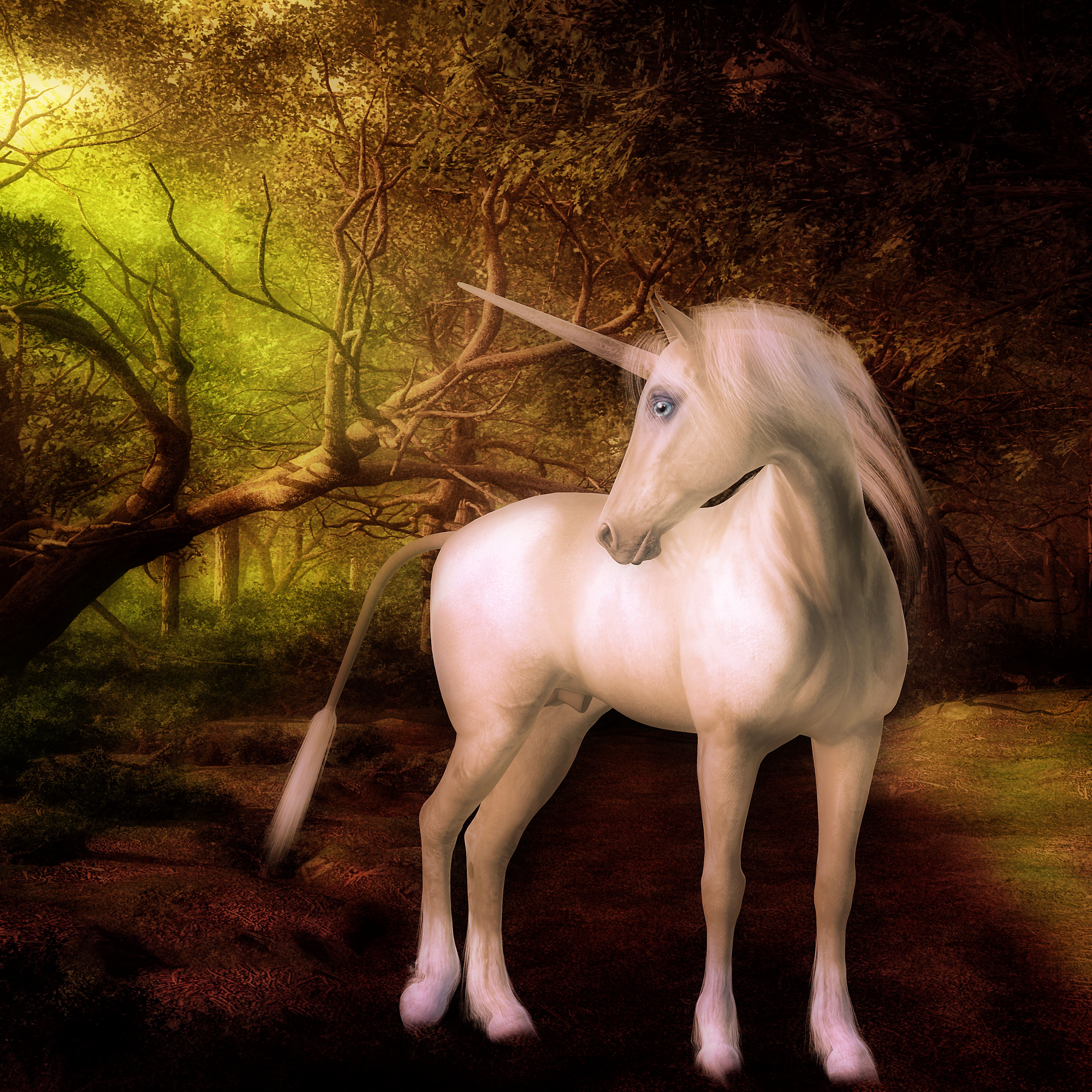 creatures, animal themes, animal wildlife, cute, animal, domestic animals, domestic, toon, mammal, one animal, horse, 5K, white, land, nature, pets, full length, Phone HD Wallpaper
