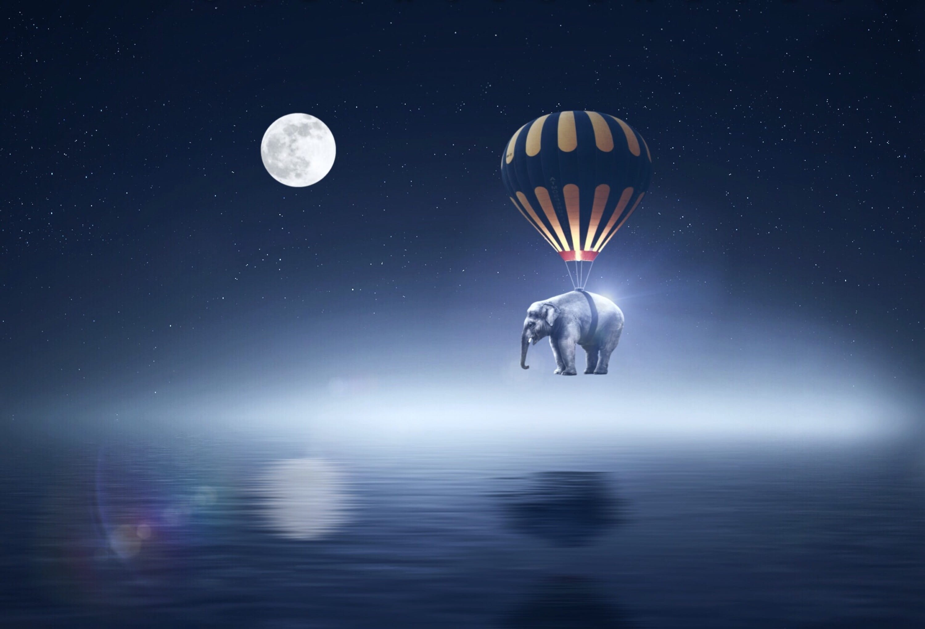 dark, full moon, 2K, astronomy, surreal, looking at view, blue, night, landscape, people, balloon, hot air balloon, nightsky, digitalart, elephant, outdoors, HD Wallpaper